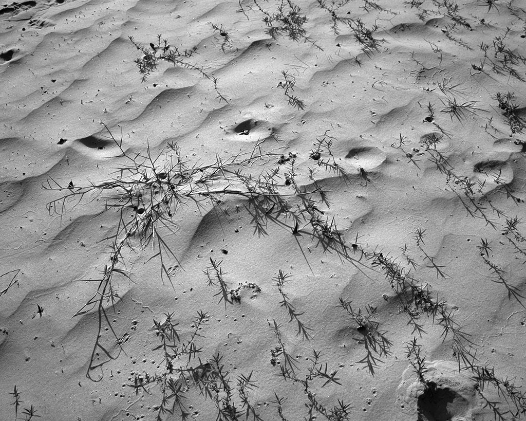 Emily J. Gómez, Wind and Rhythm #3, 2016