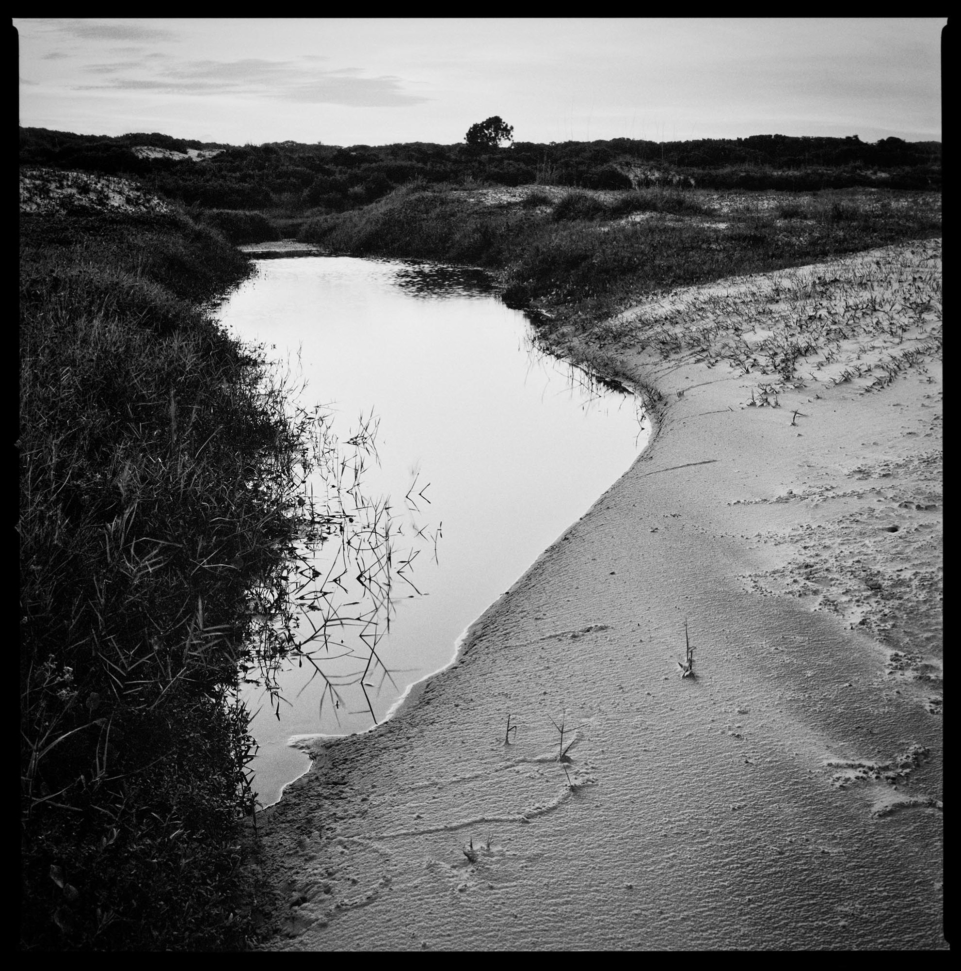 Christa Bowden, Sand Encroachment on South Whitney Pond, 2016