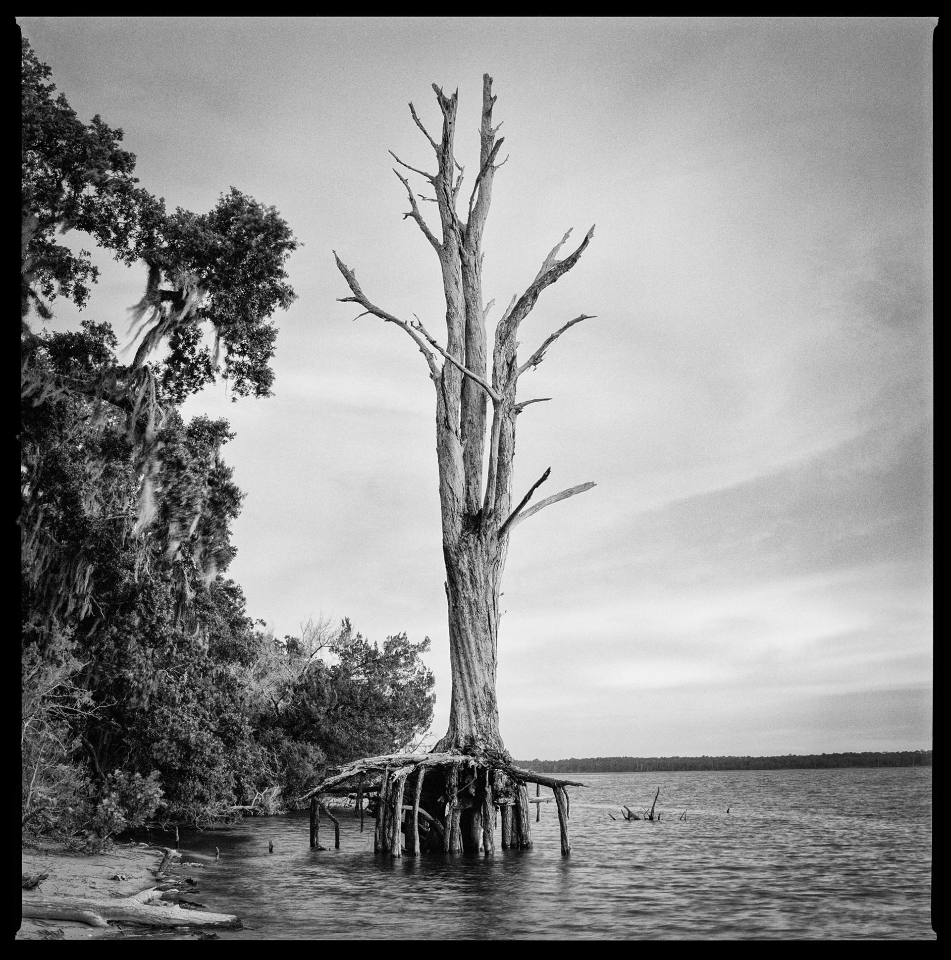 Christa Bowden, Shoreline Erosion at Brickhill Bluff, 2018