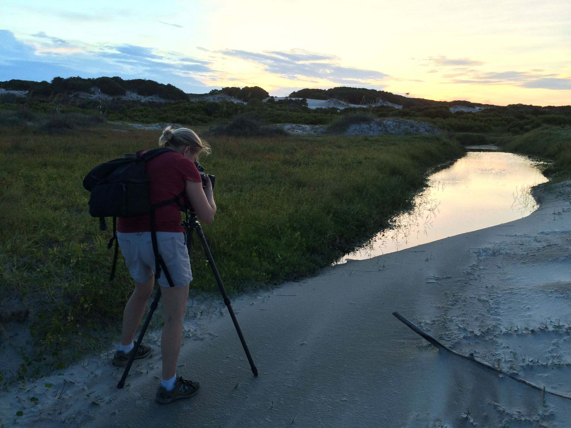 Christa photographing a freshwater pond at South Cut