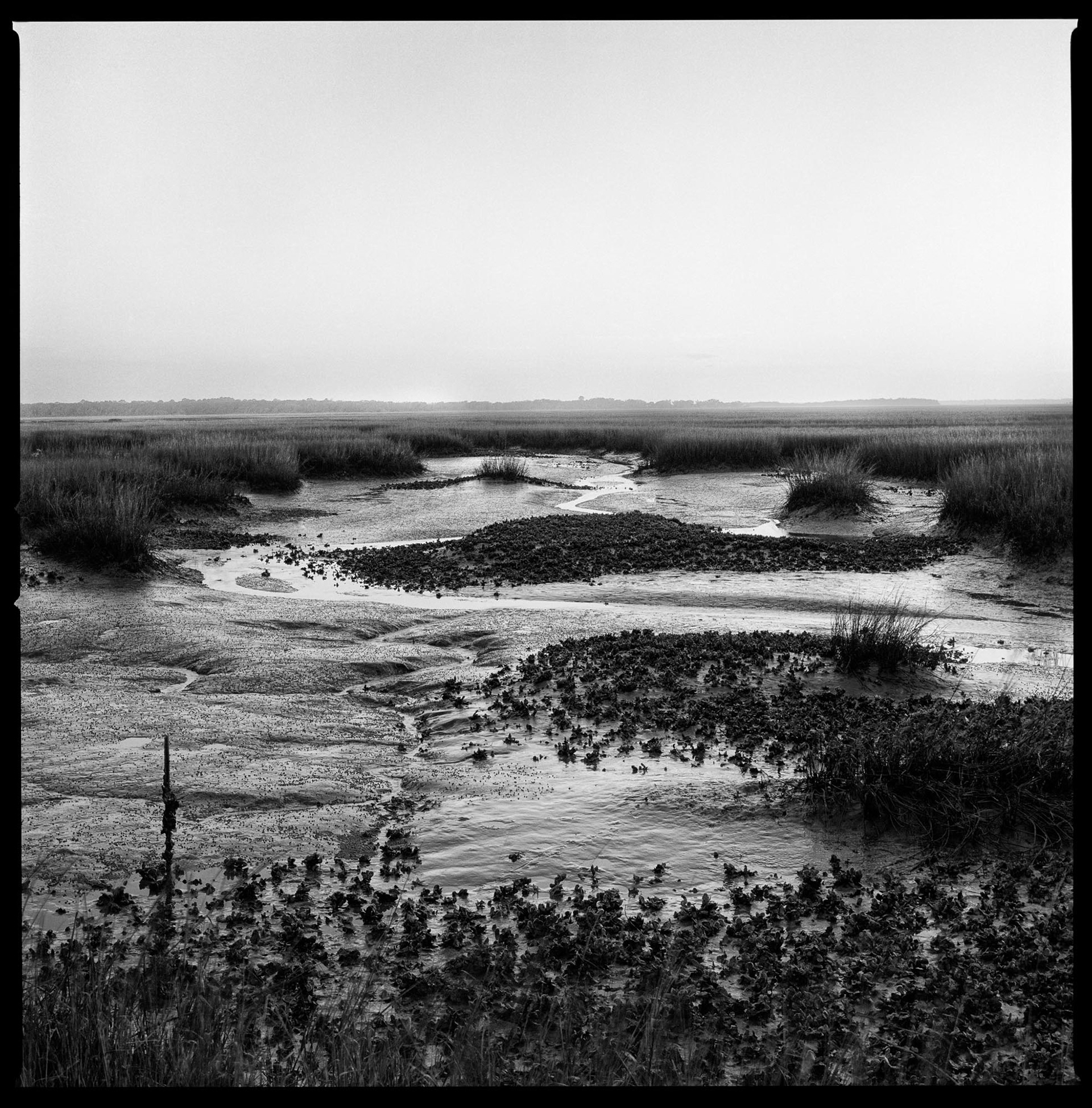 Christa Bowden, Marsh and Oyster Beds at Low Tide, South End, 2016