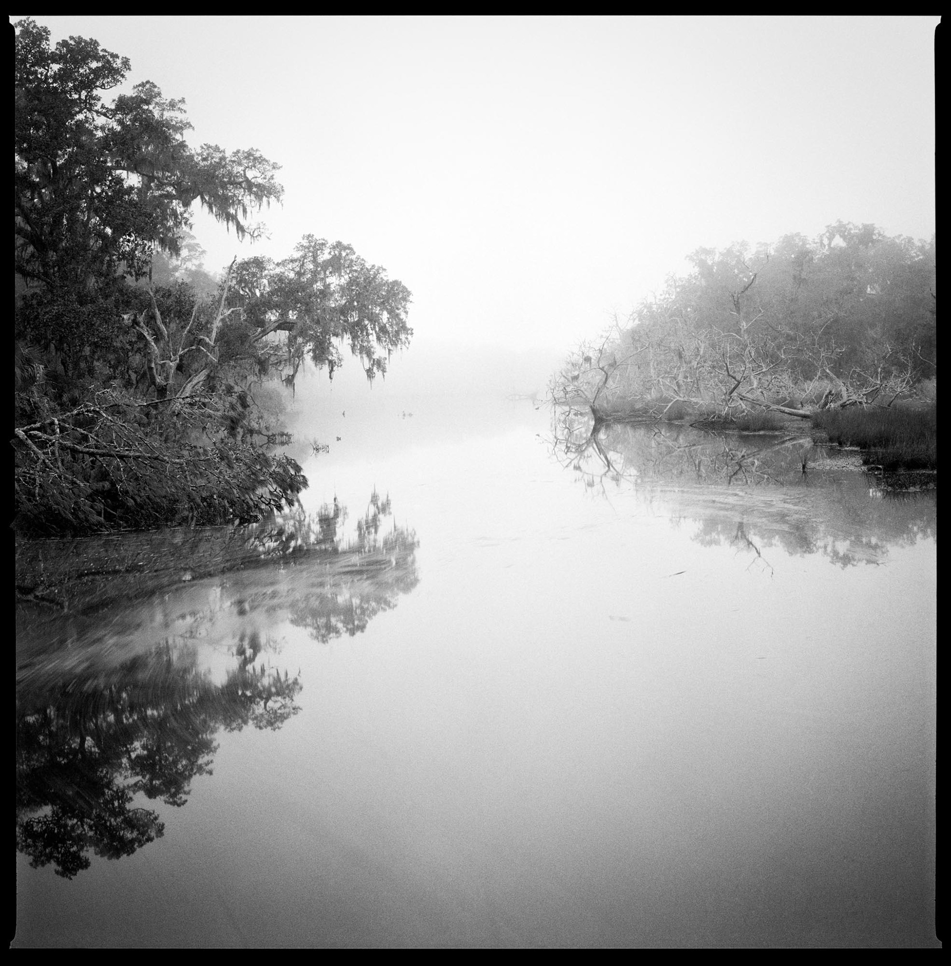 Christa Bowden, White Bridge Swamp Field Drain Creek, High Tide, 2016