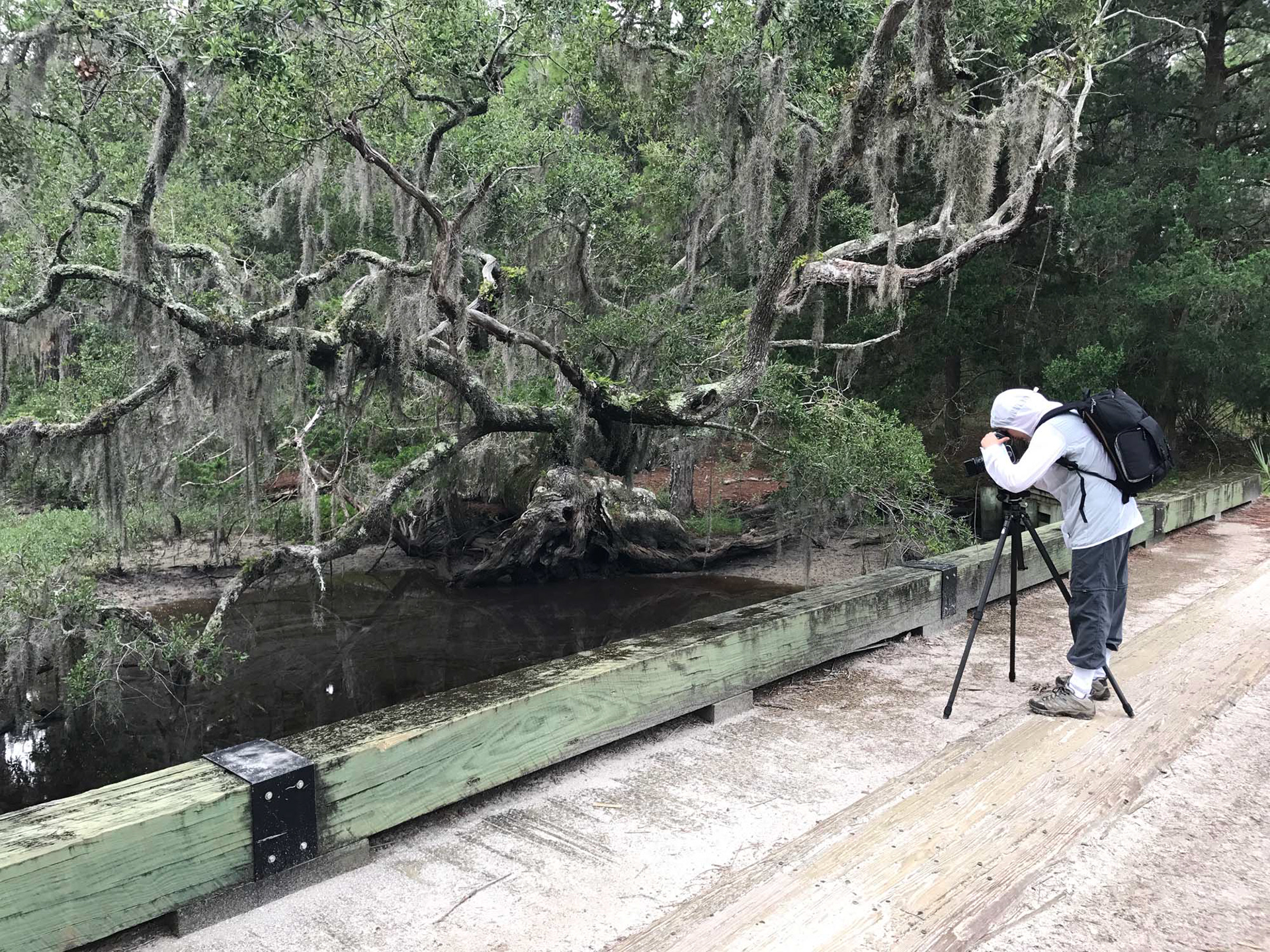Christa photographing White Bridge Swamp Field Drain Creek