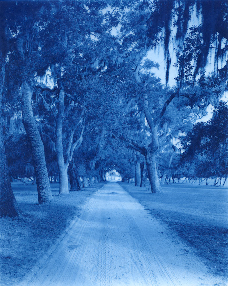 Emily J. Gómez, Road to Dungeness Ferry Dock, 2019, New Cyanotype on Wyndstone Vellum, 16x14"