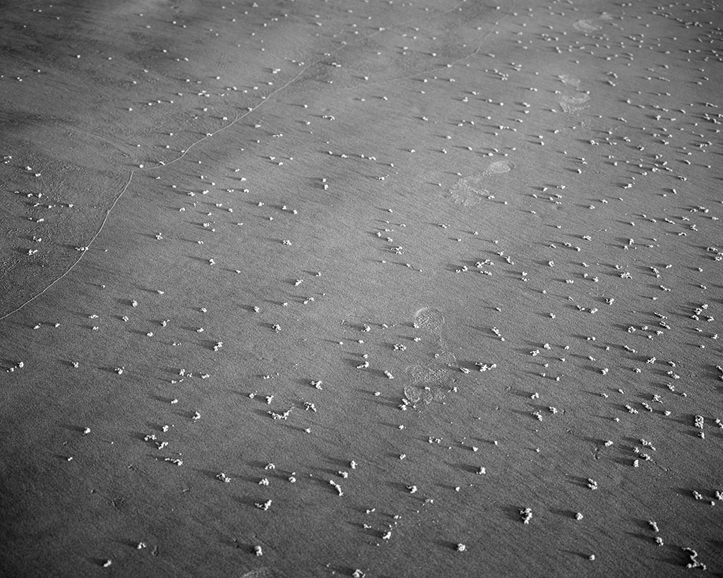 Emily J. Gómez, Wind and Rhythm #6, 2016