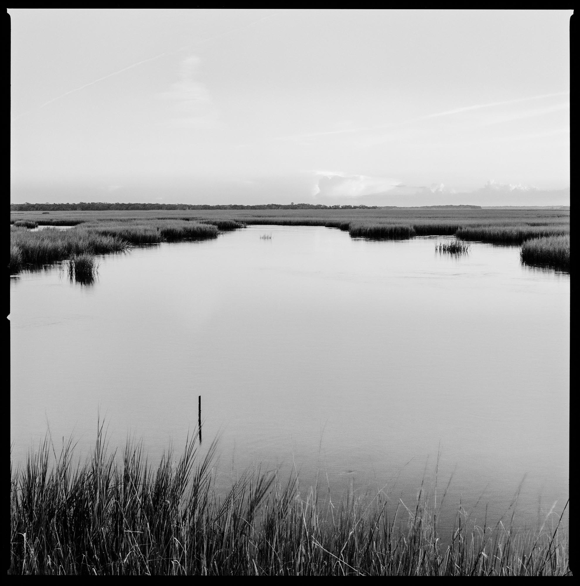 Christa Bowden, Marsh and Oyster Beds at High Tide, South End, 2018