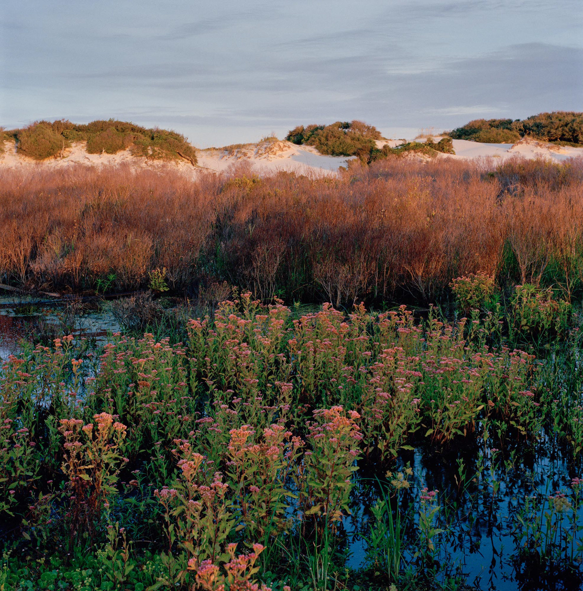 Christa Bowden, Freshwater Slough & Secondary Dunes, South Cut, 2018 