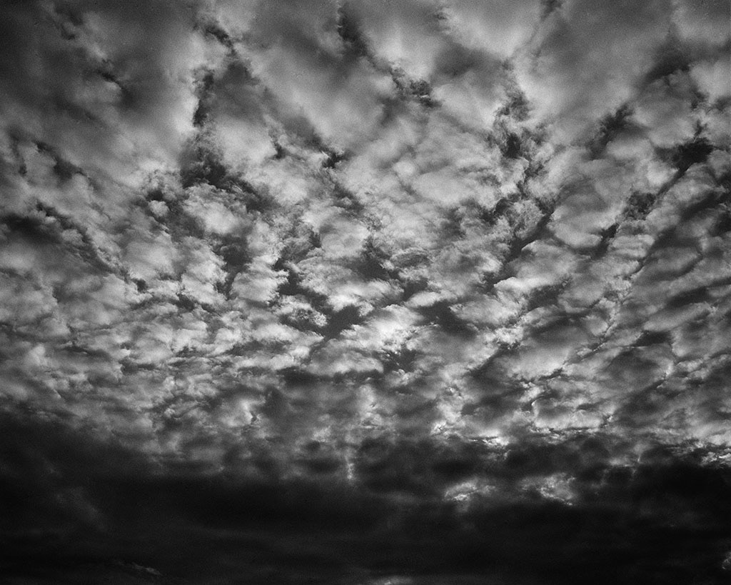 Emily J. Gómez, Wind and Rhythm #2, 2016