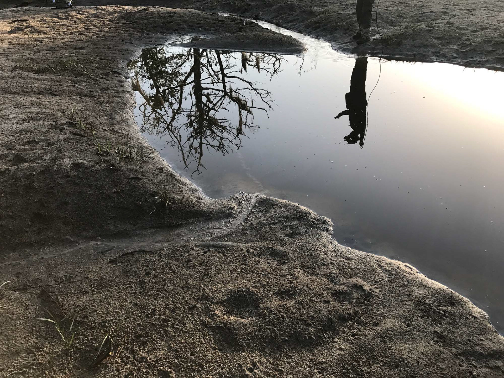 Ernesto recording sound in the Killman Field wetlands, South Cut Trail