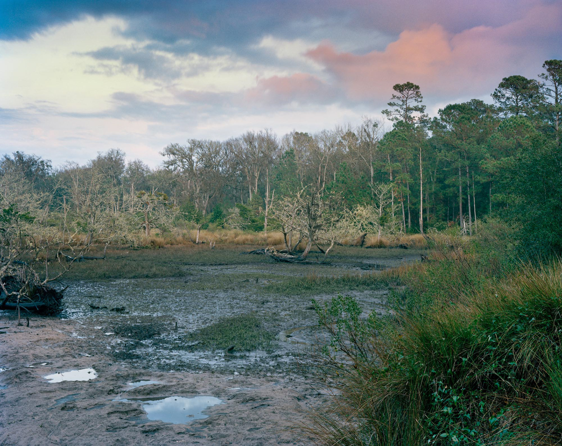 Christa Bowden, Killman Field Wetlands, 2017
