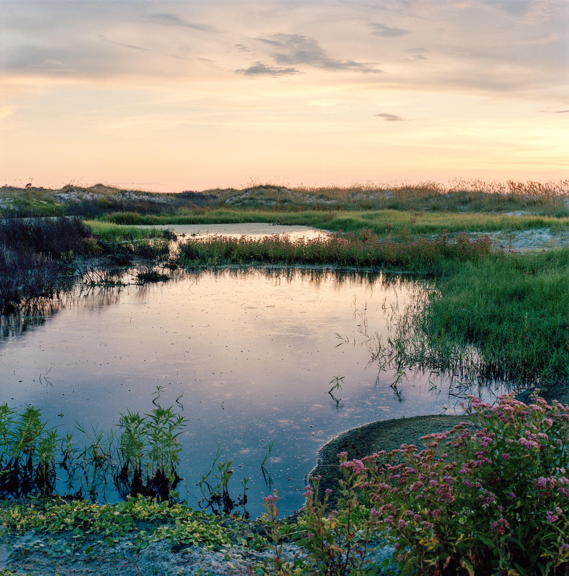 Christa Bowden, Freshwater Slough & Primary Dunes, South Cut, 2018