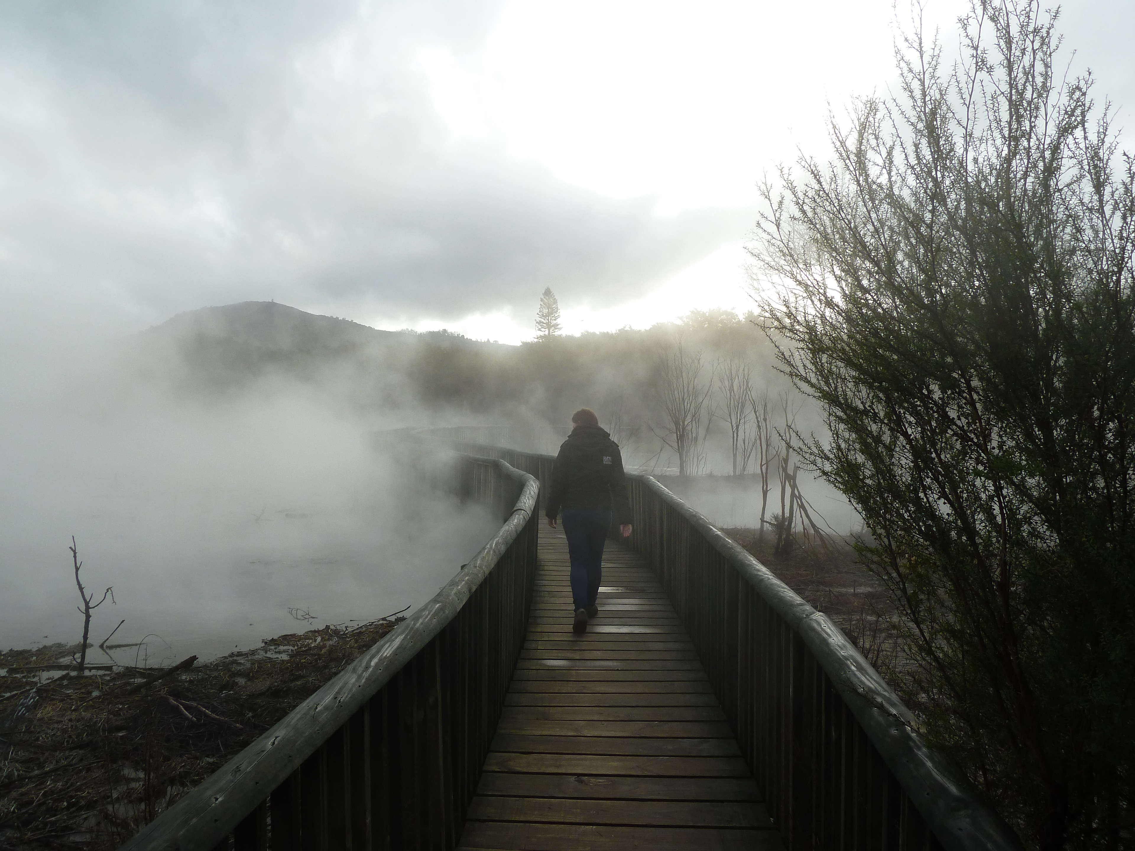 Rotarua Thermal springs 