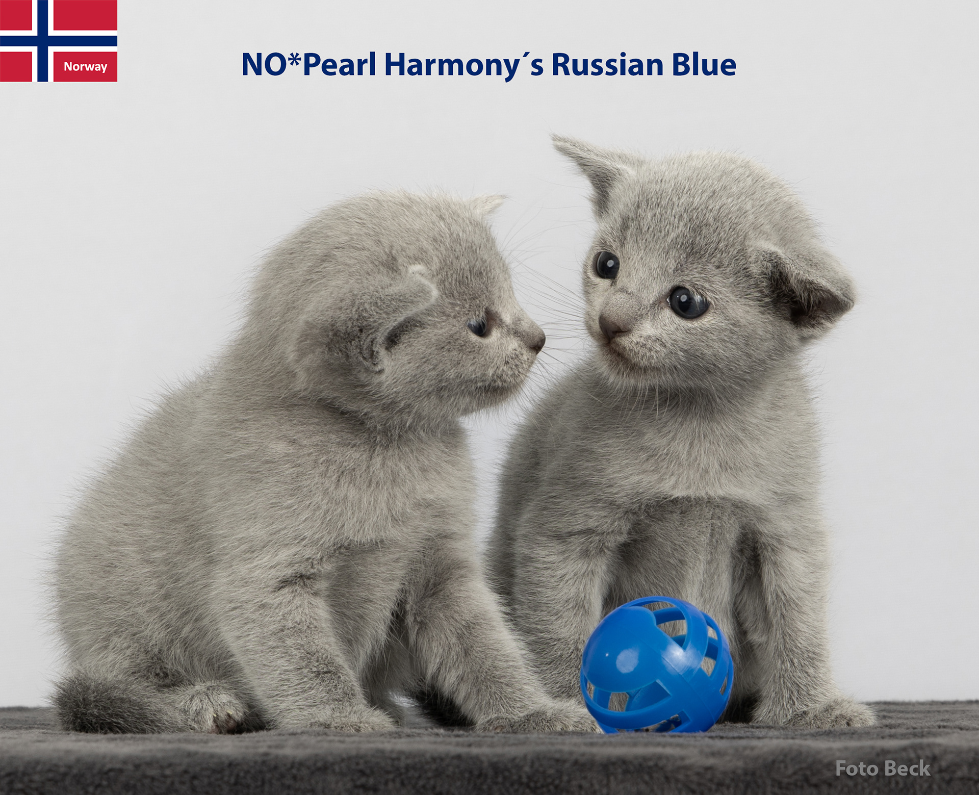 Fine Line og Full Fres