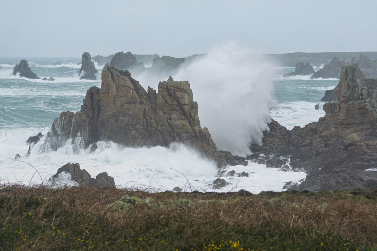 Paysage d'Ouessant 2