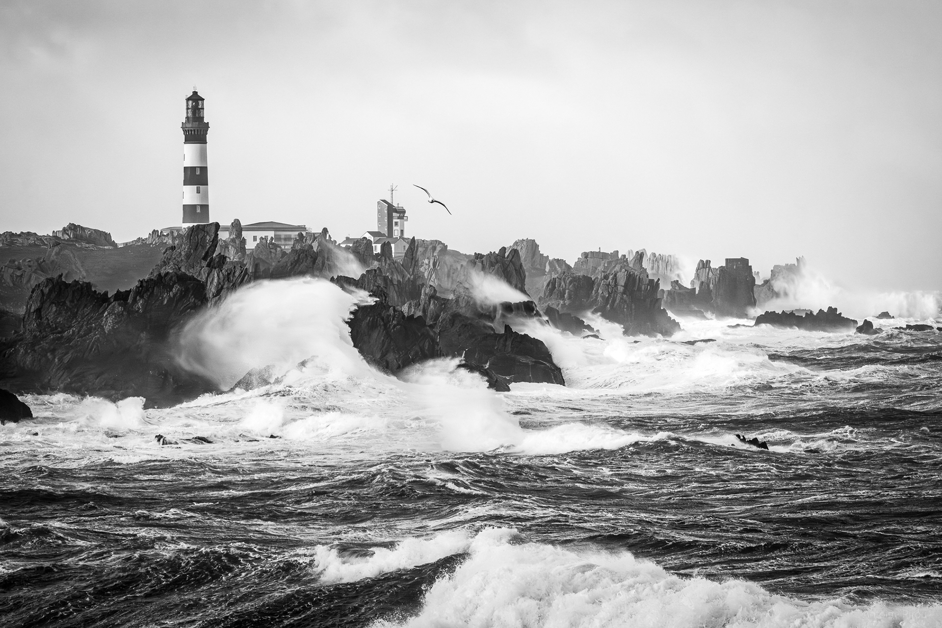 Ouessant Février 2026