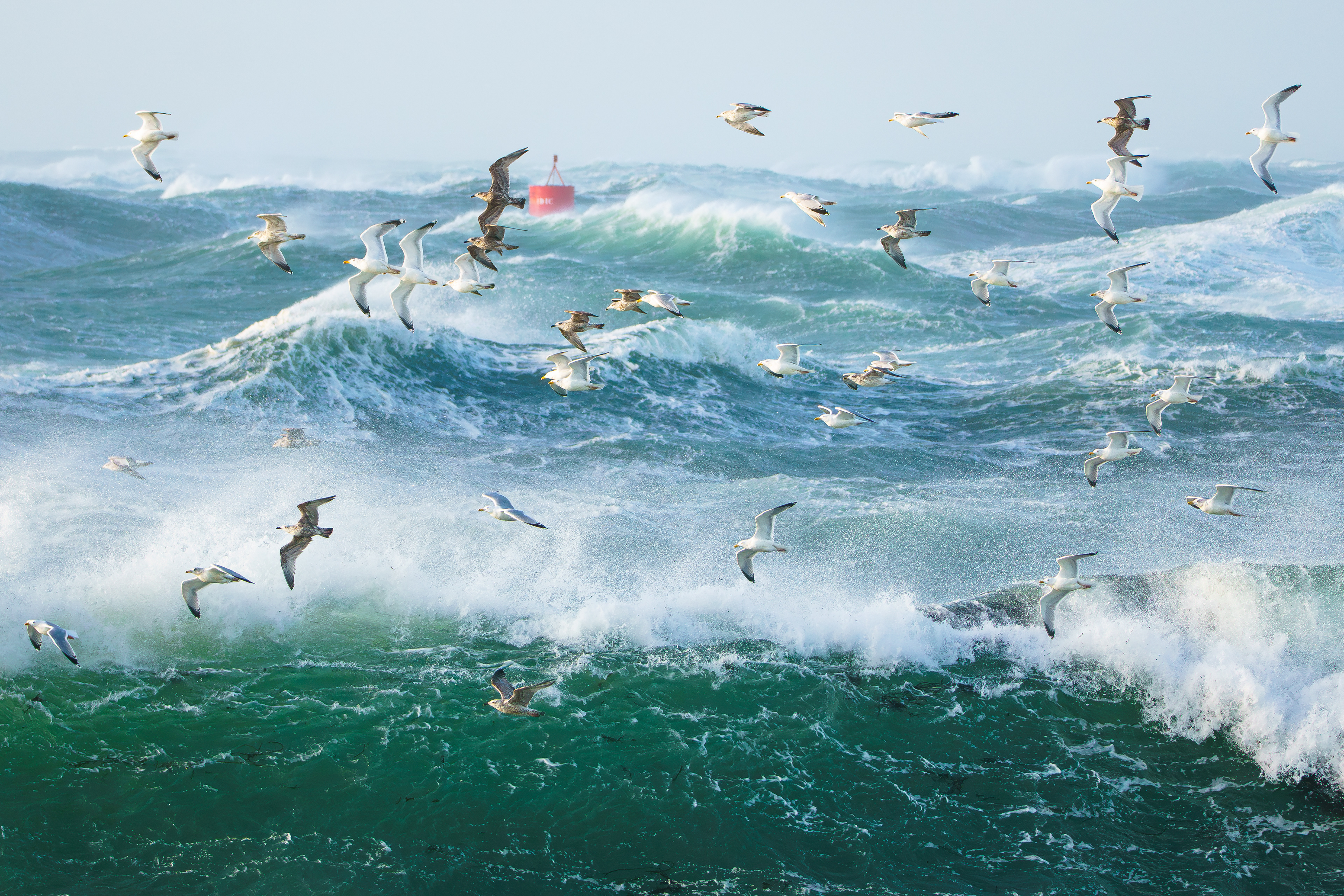 Tempête de Goel