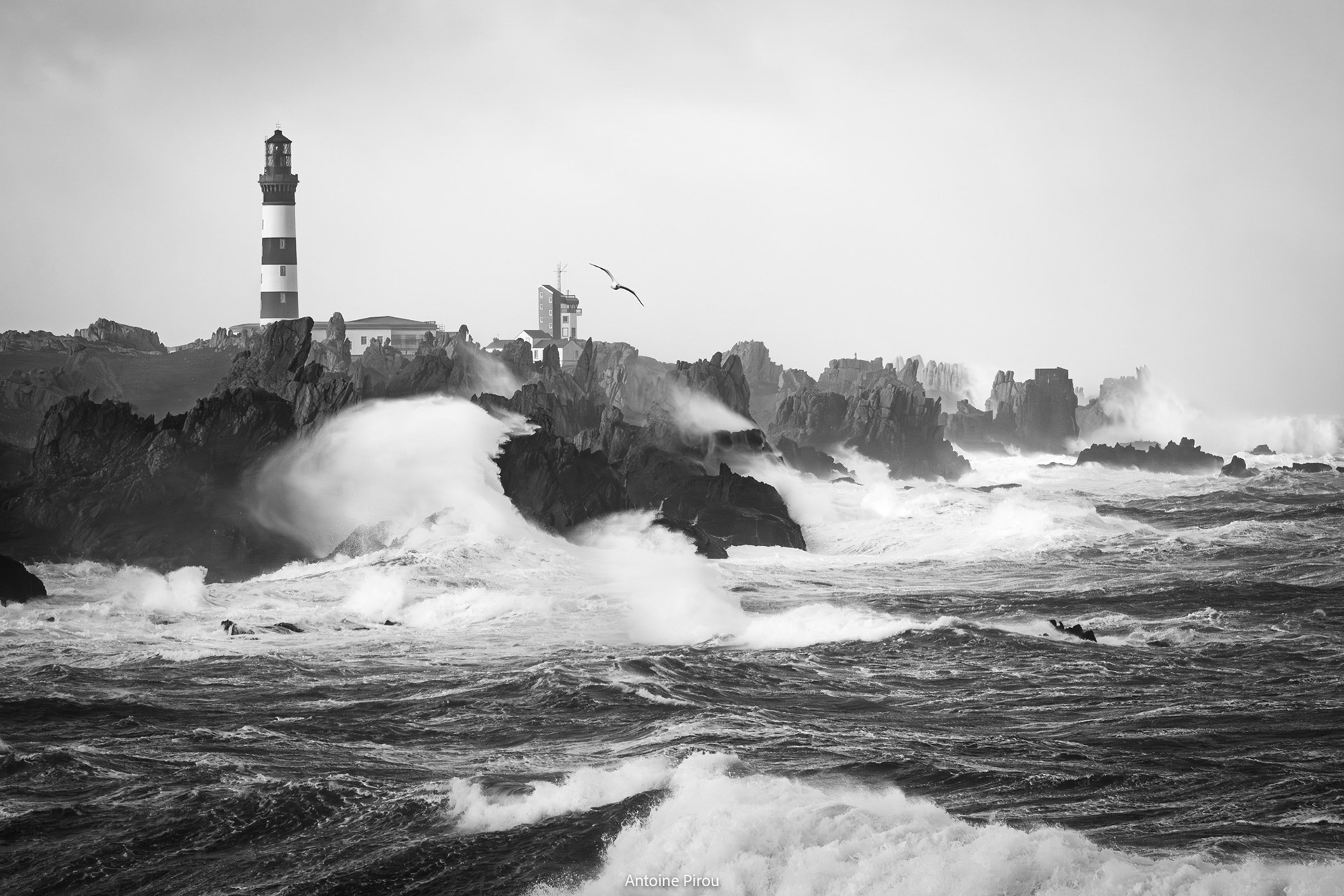 Tempête Ouessant Février 2026
