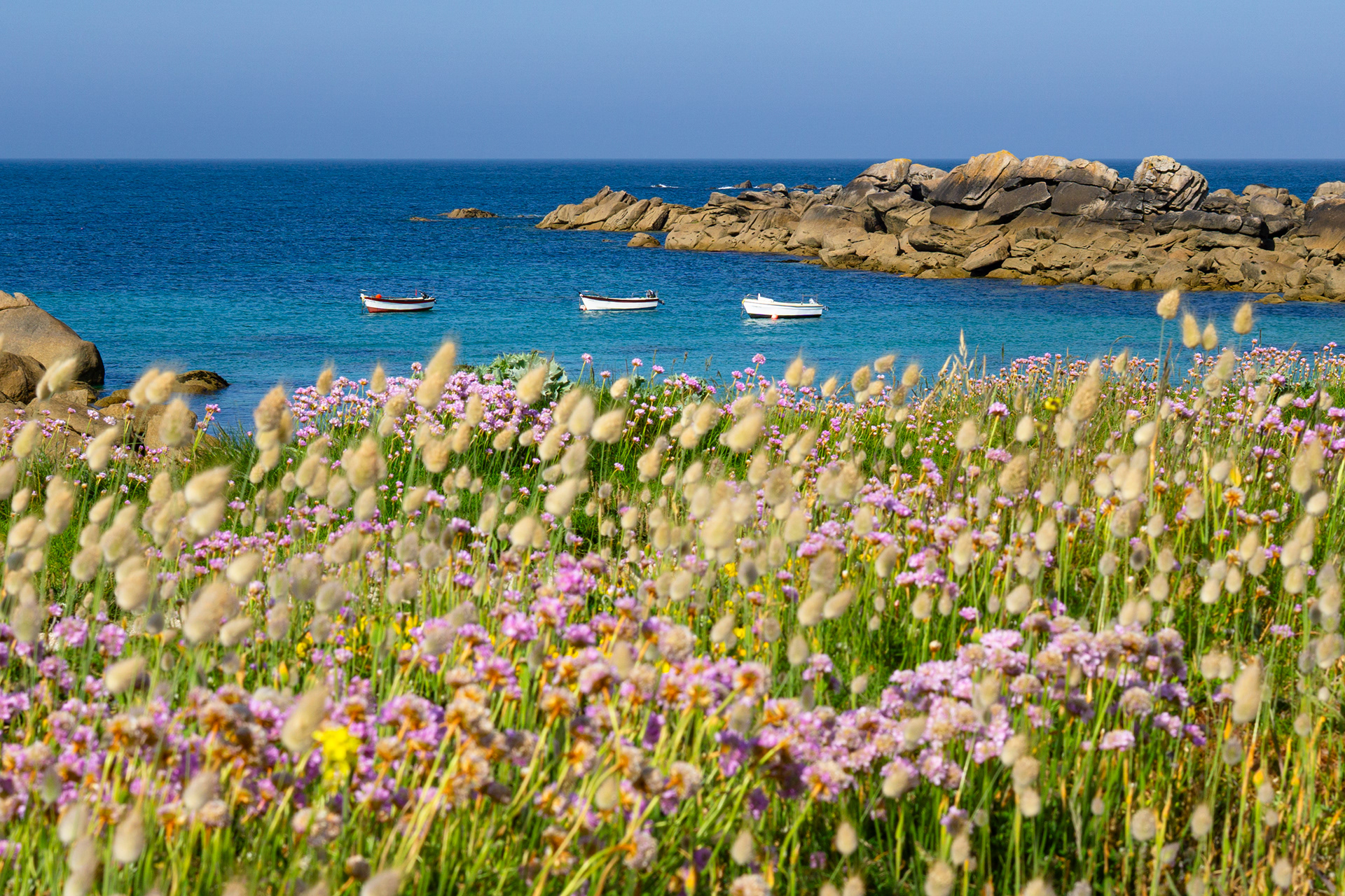 brignogan