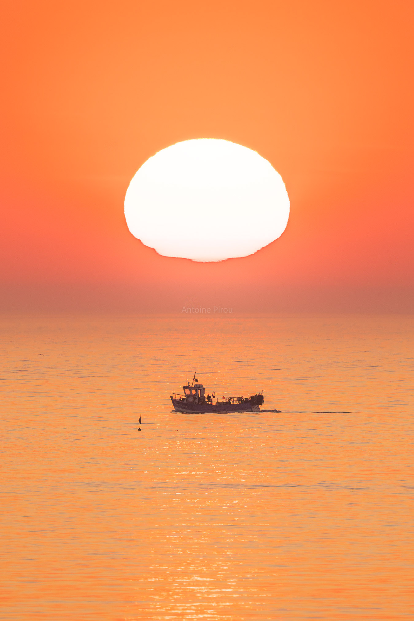 Sun