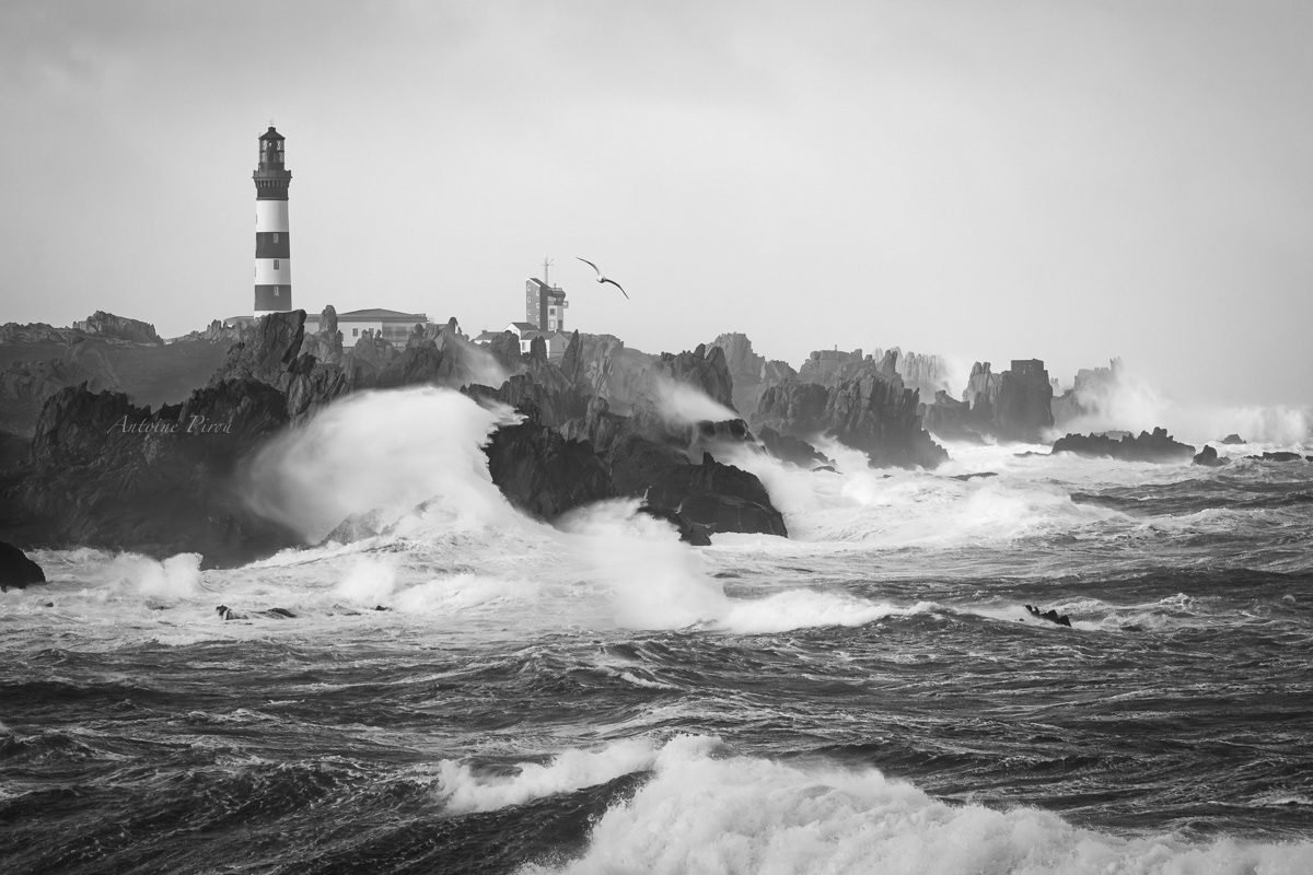 Paysage d'Ouessant