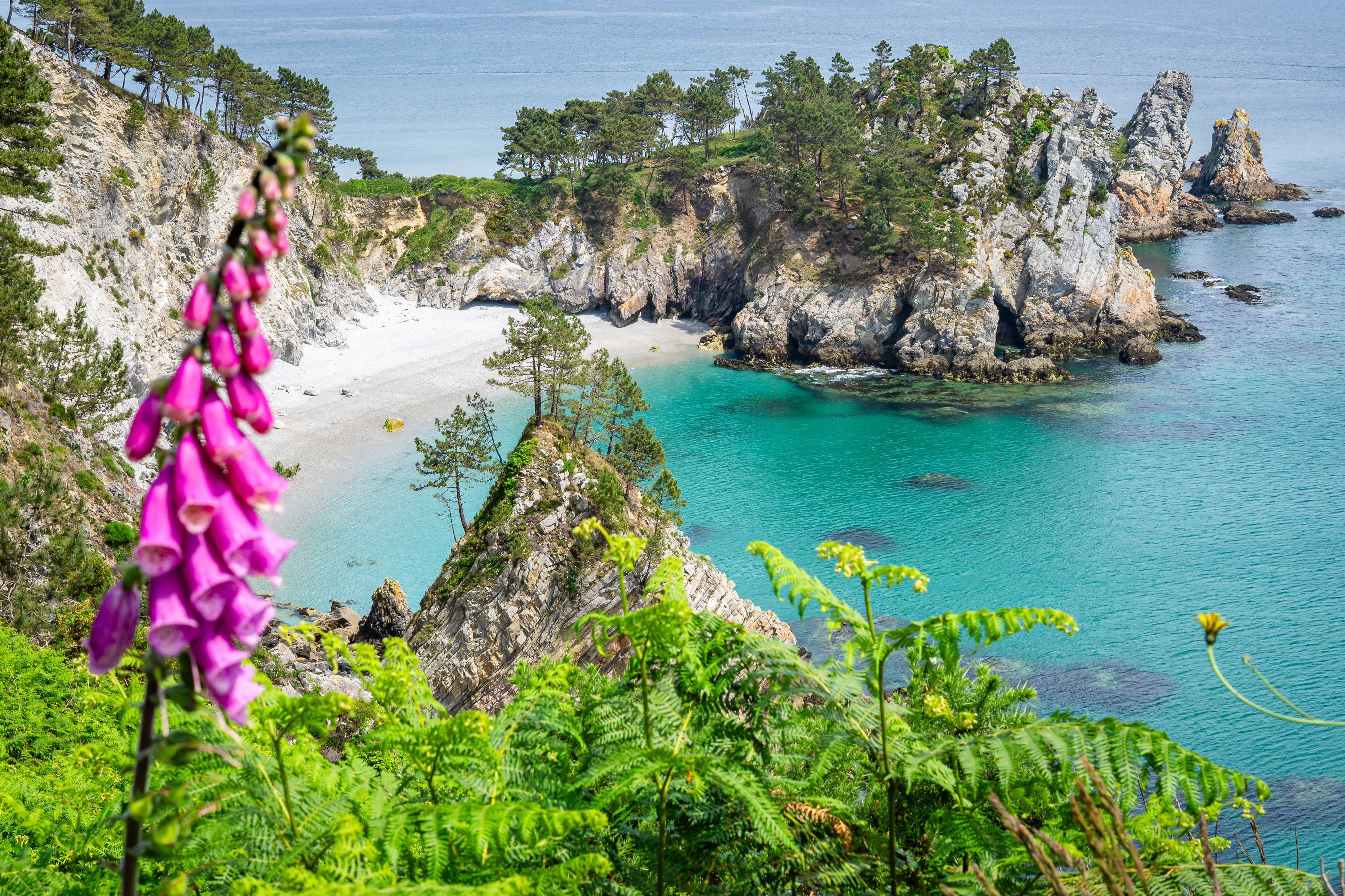 Plage Ile Vierge-Morgat