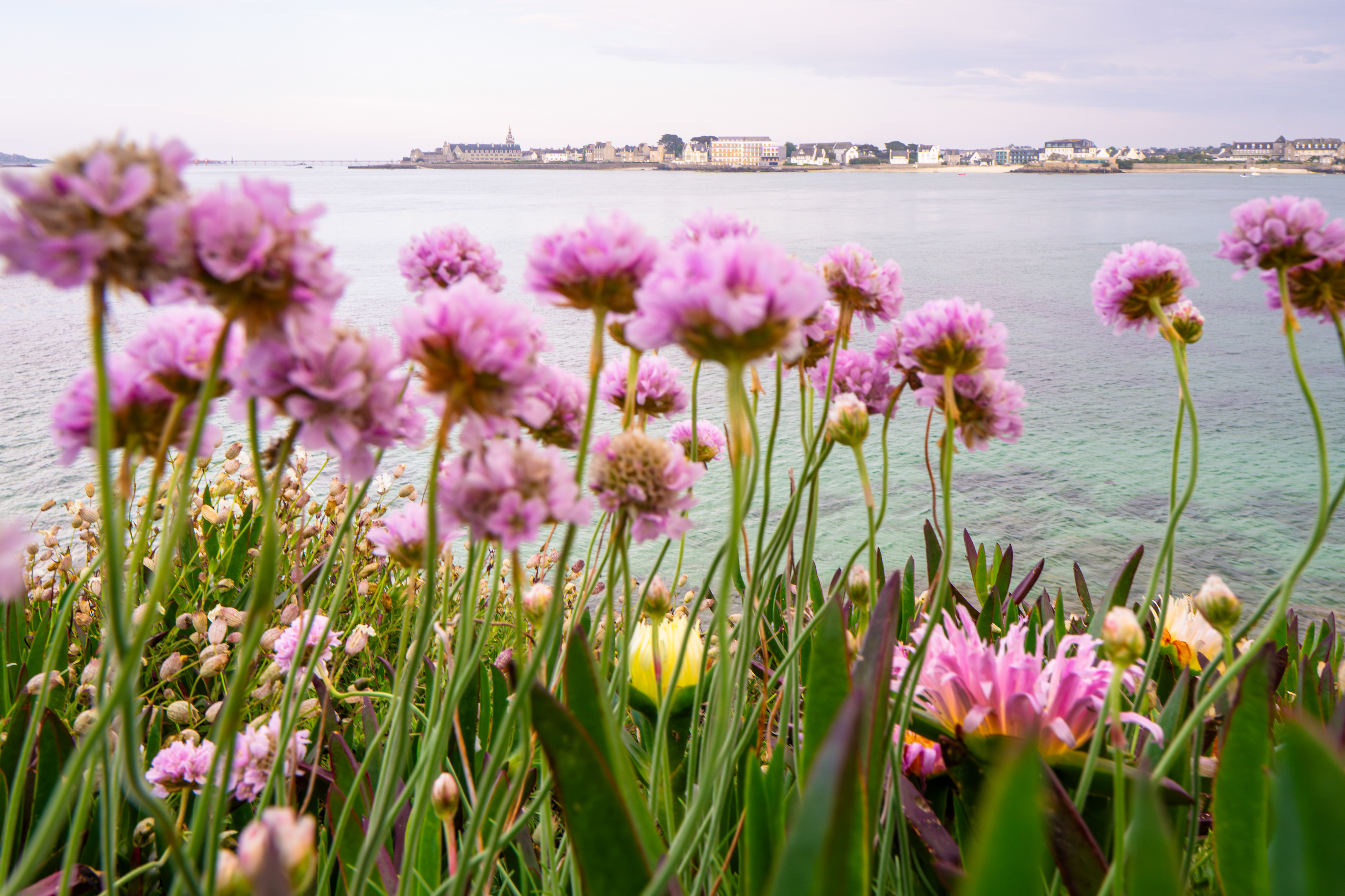 Armeries Roscoff