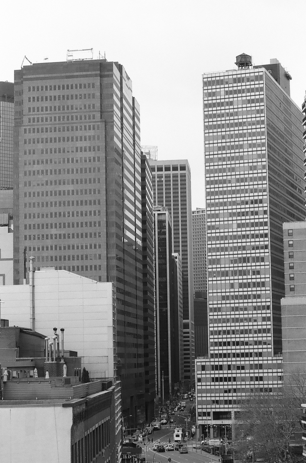 Ilford FP4+. Canon Rebel XS