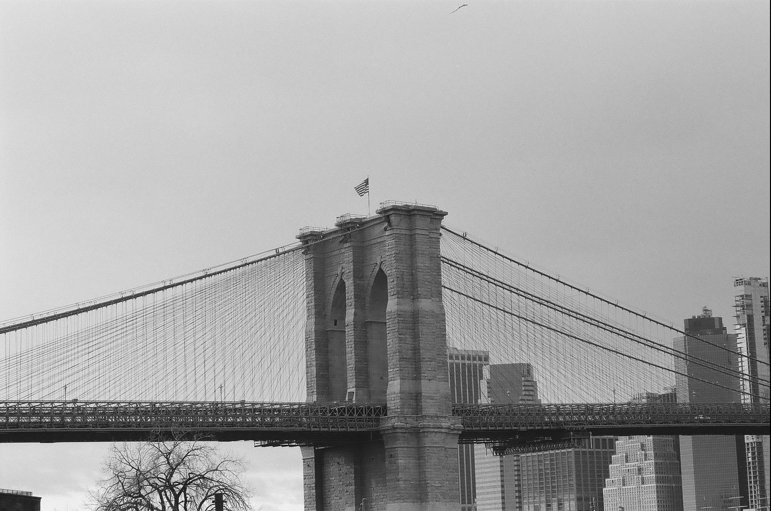 Ilford FP4+. Canon Rebel XS