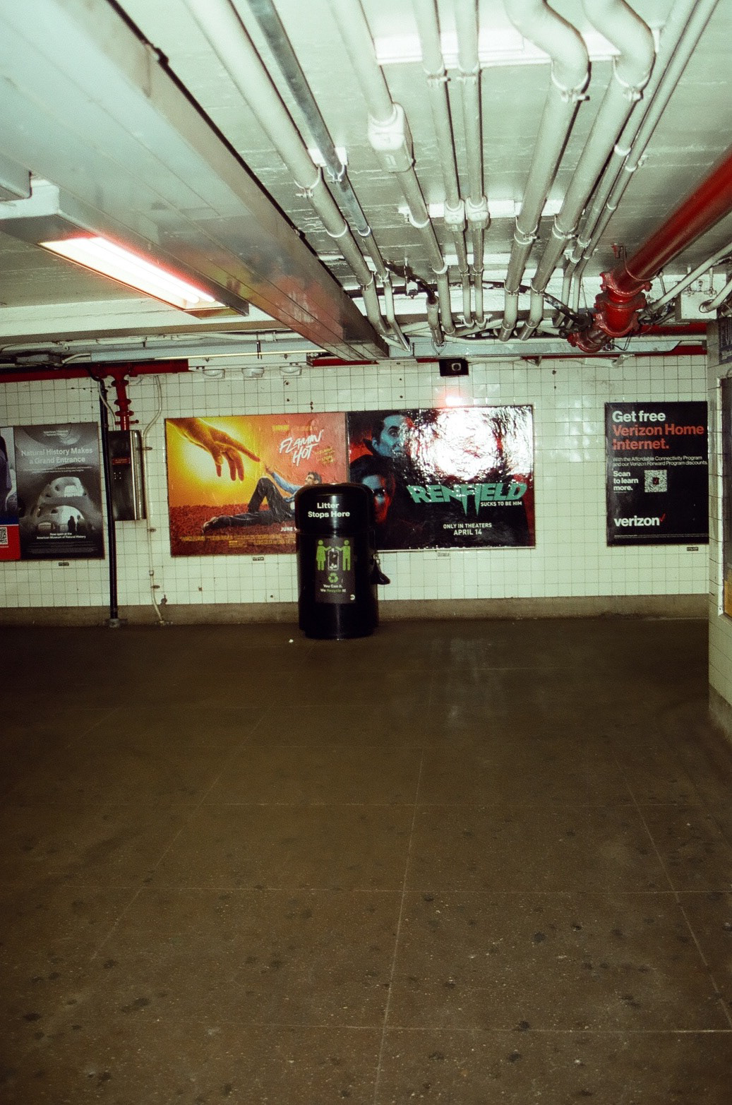 Cinestill 400D. Canon Rebel XS