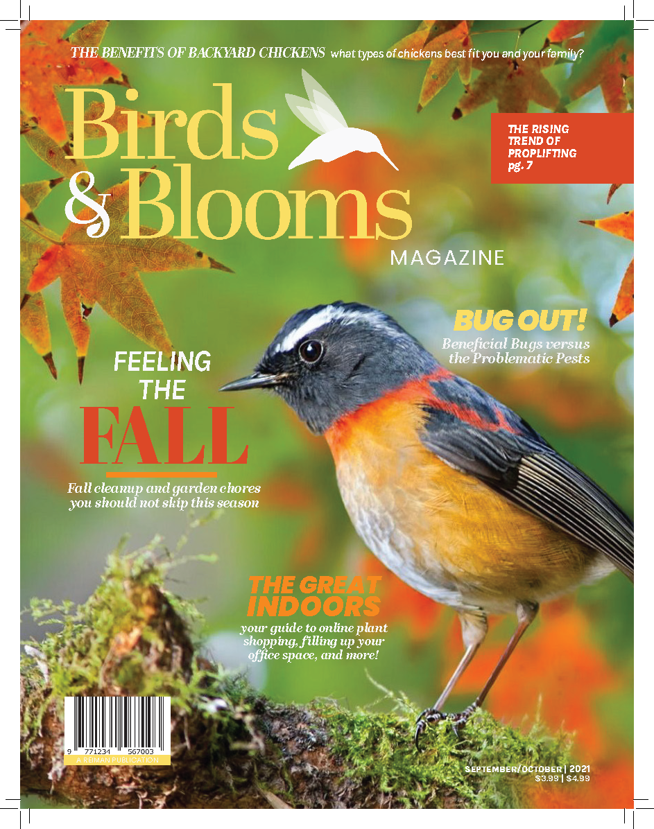 Magazine Rebranding Assignment - Cover - February 2022