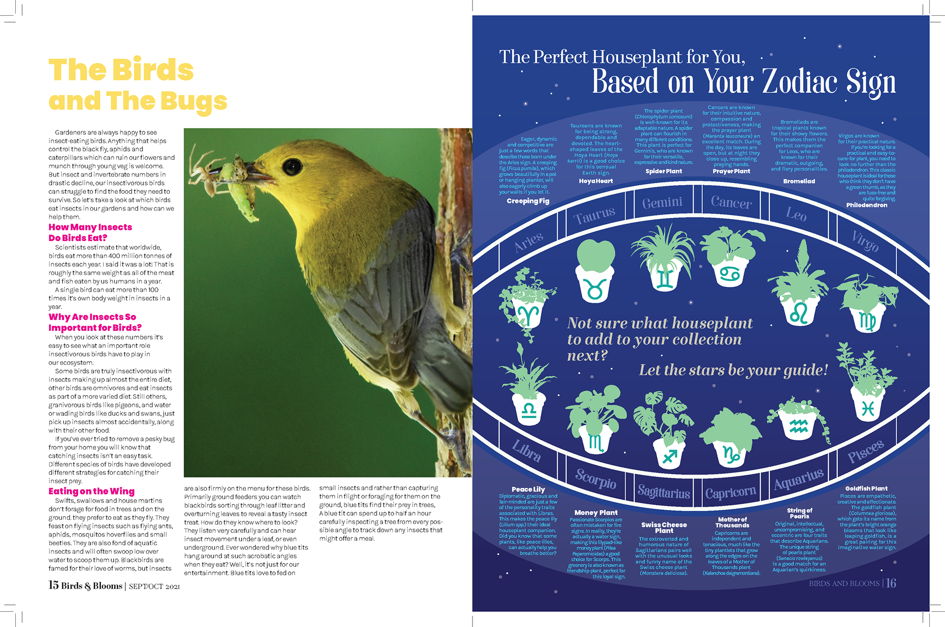 Magazine Rebranding Assignment - Editorial Design Layout Infographics - February 2022