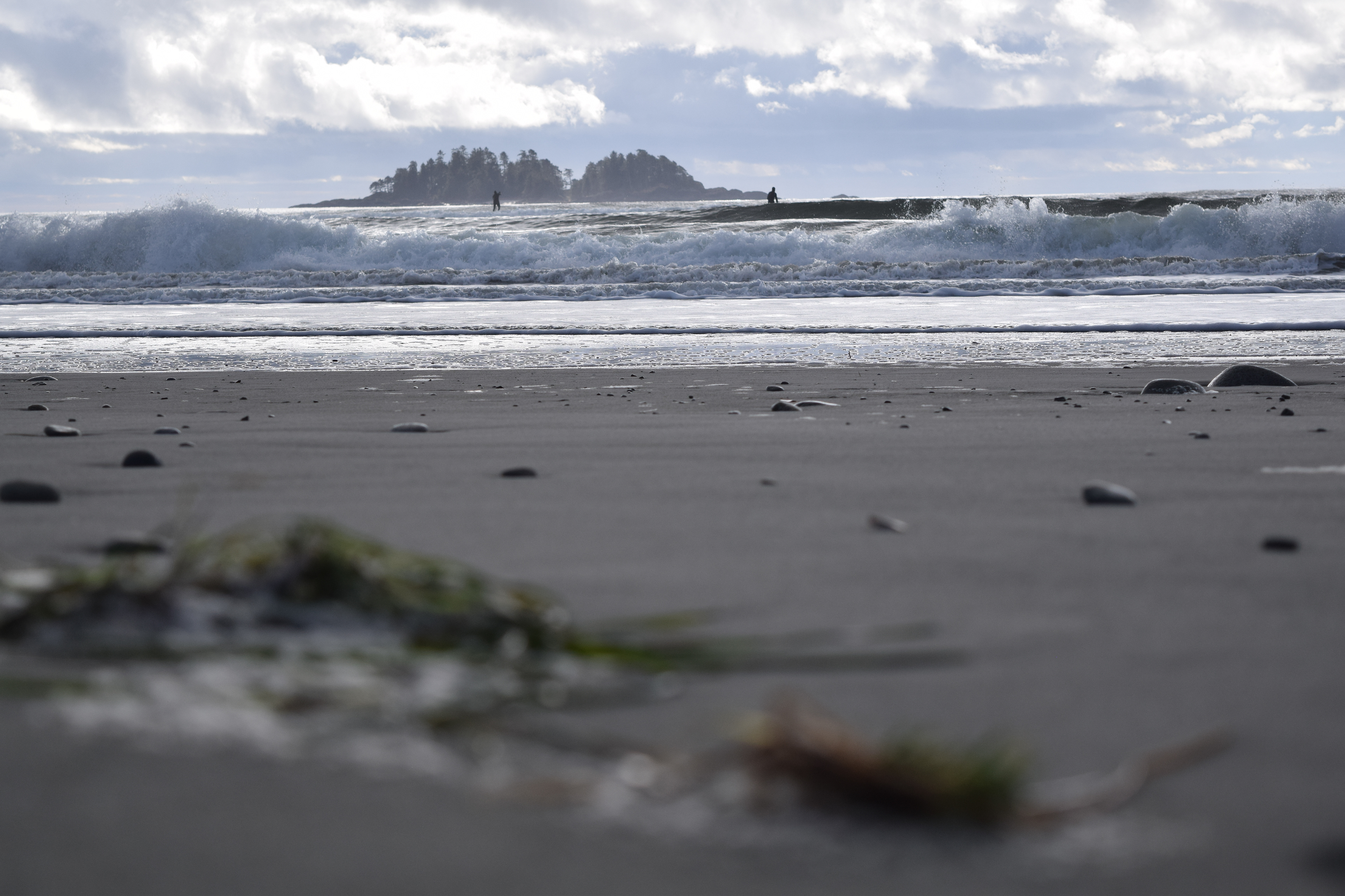 Tofino, 2018