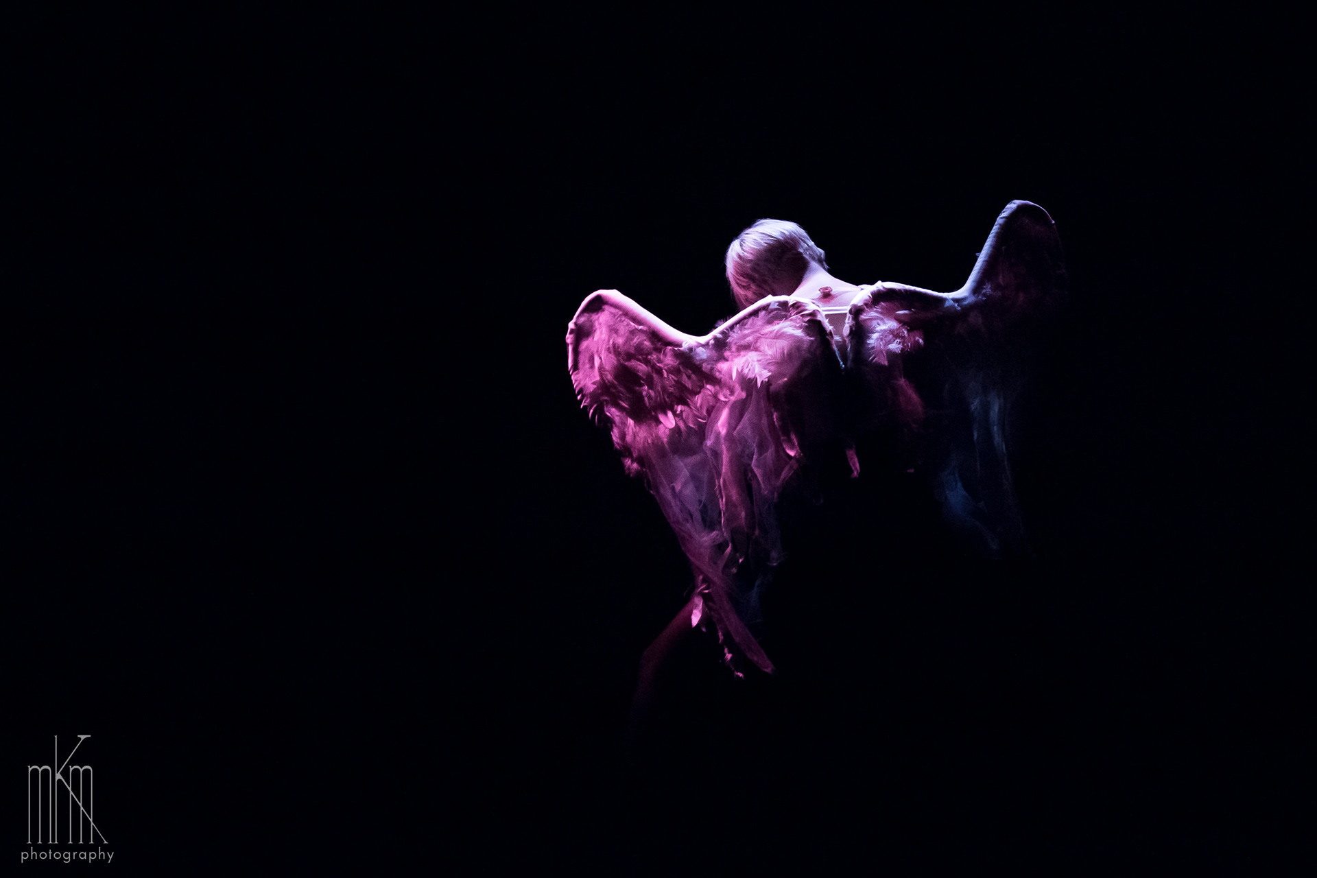 Wings (in action), 2018