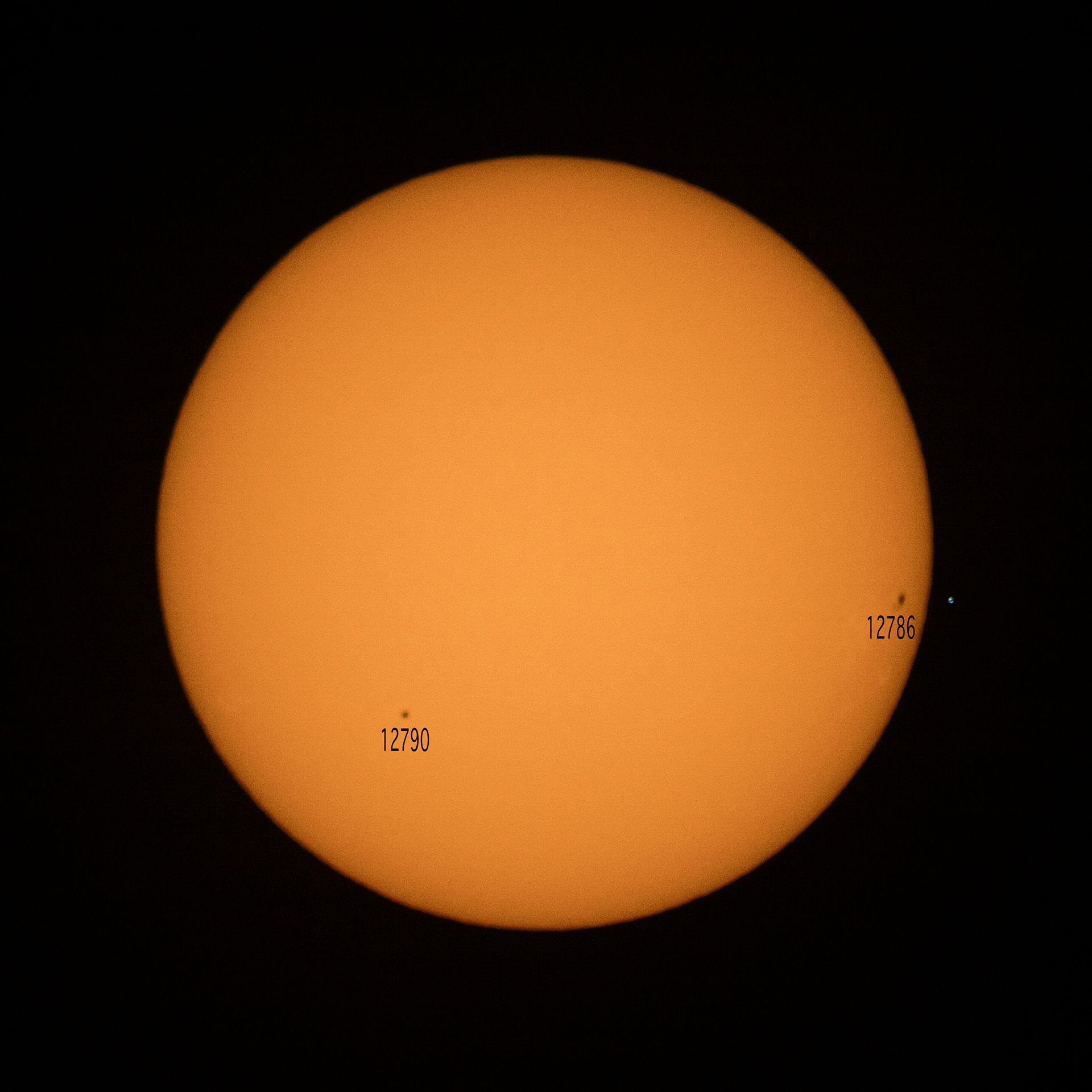 The Sun with two sunspots (with Earth for scale)