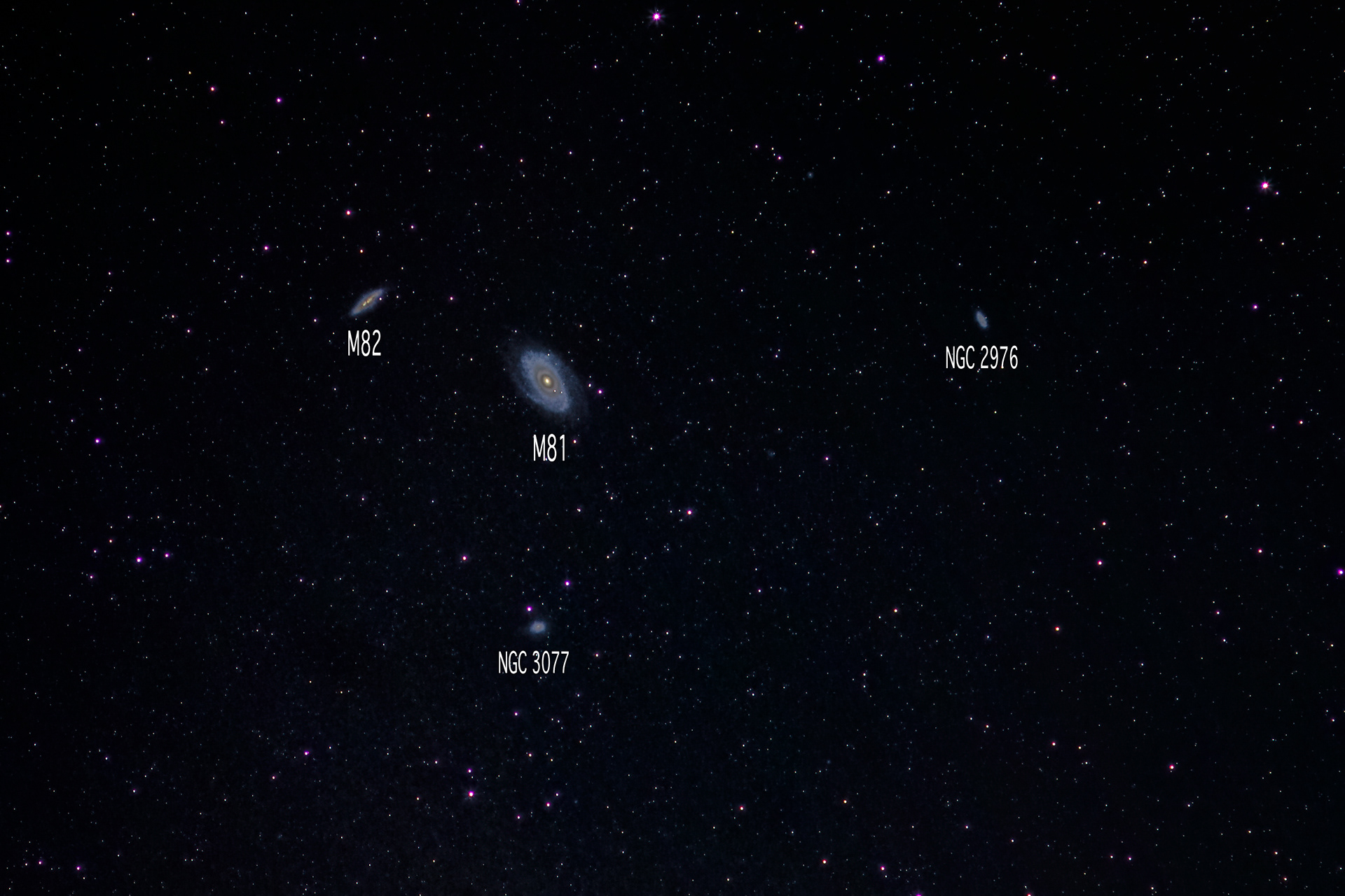 Bode's Galaxy and friends