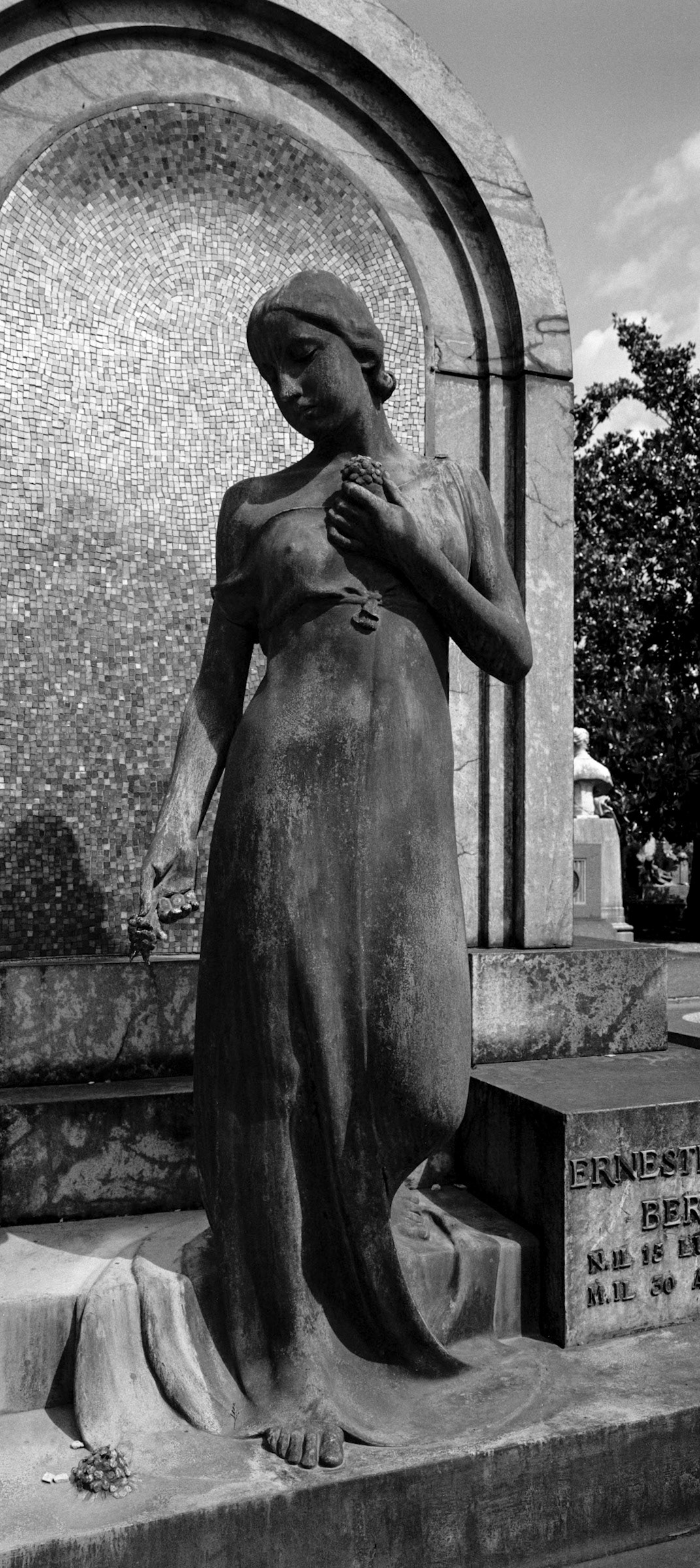 Hasselblad 903SWC, Silvermax 100, Silvermax Dev, Rovida