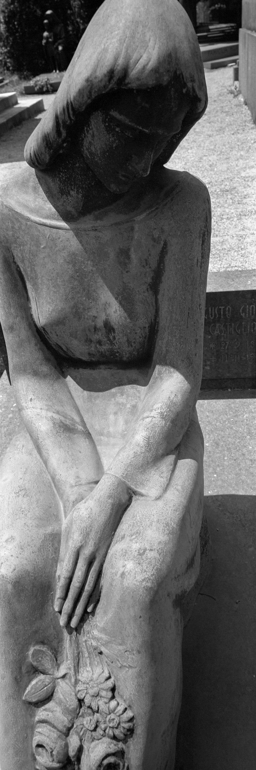 PhotoExif - Camera: Fuji G617, Film: Panchro 400, Comment: Close-up filter +1 fuoco oo