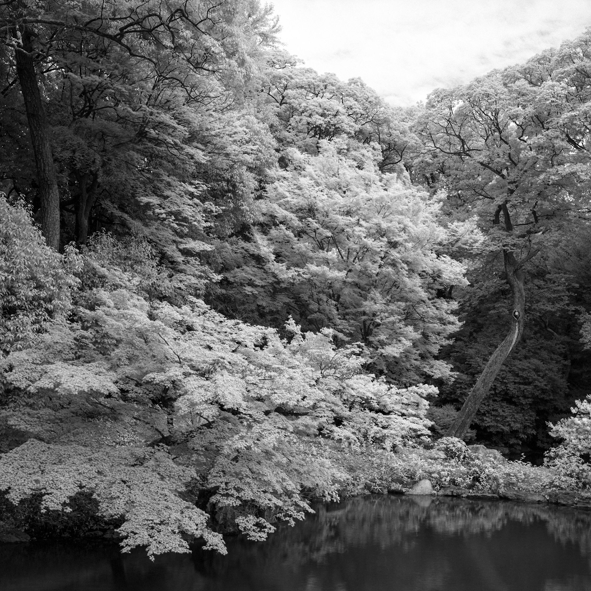 Kyoto, Kyoto Imperial Garden