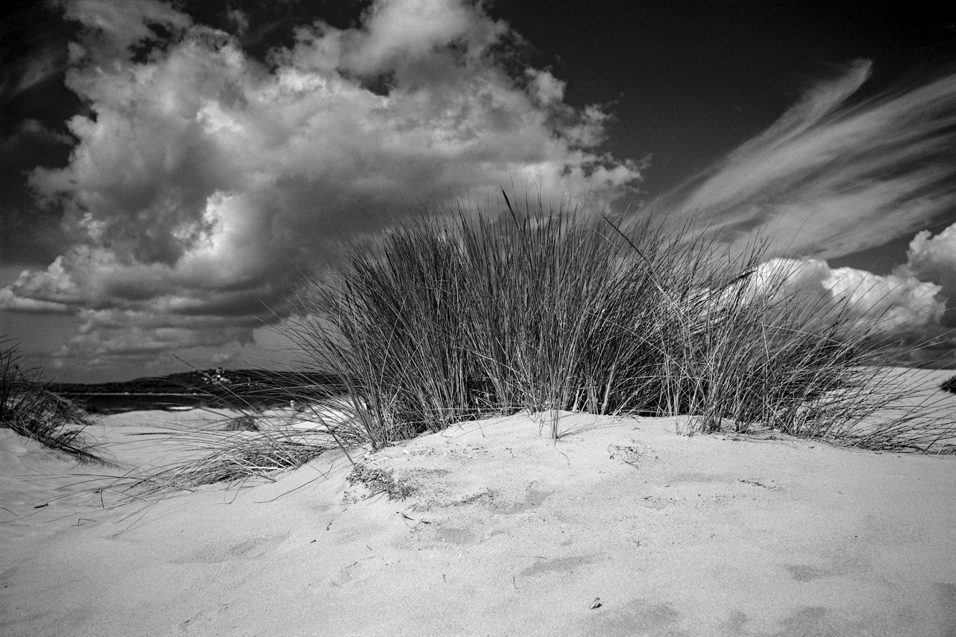 Sulcis, Dune di Porto Pino