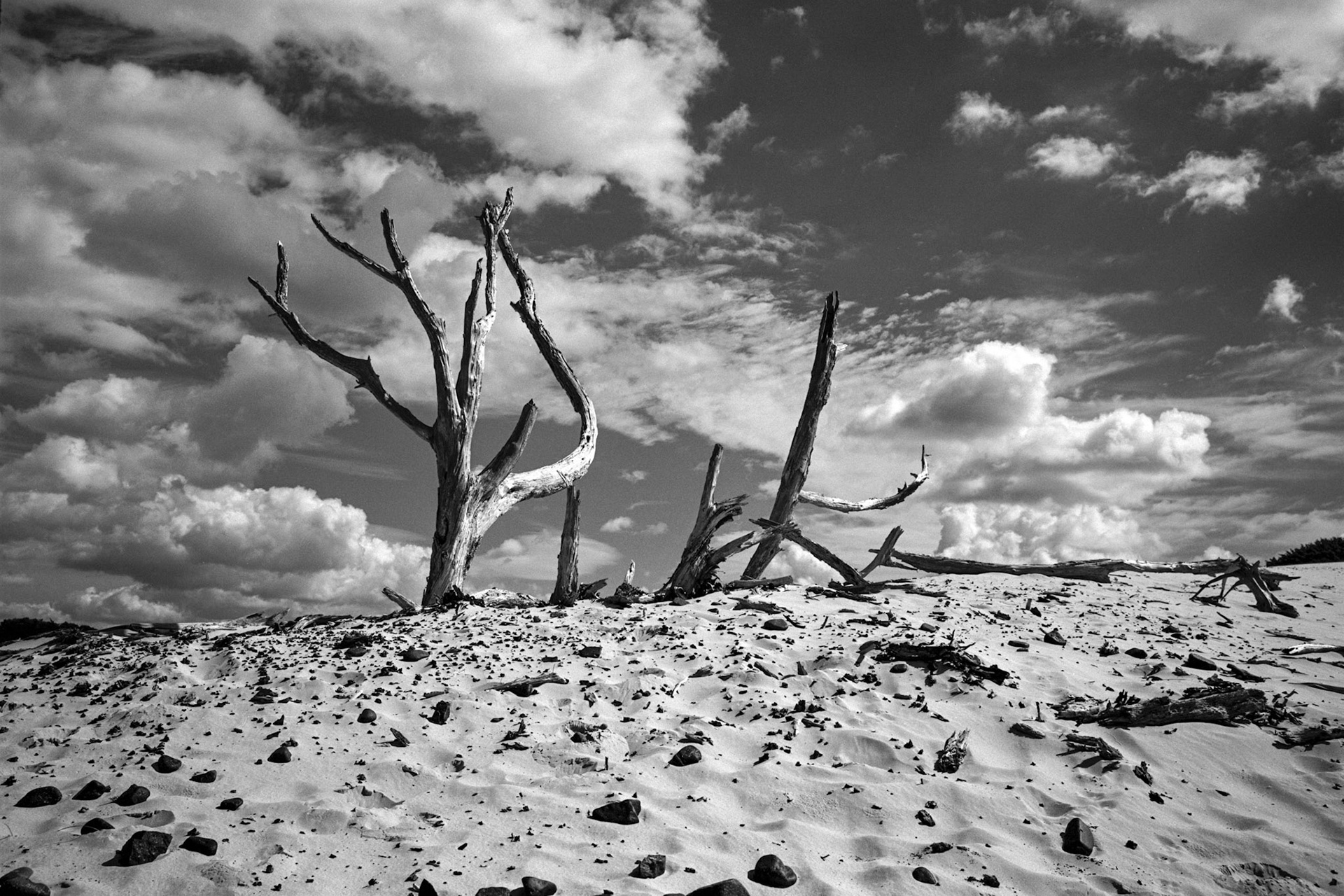 Sulcis, Dune di Porto Pino