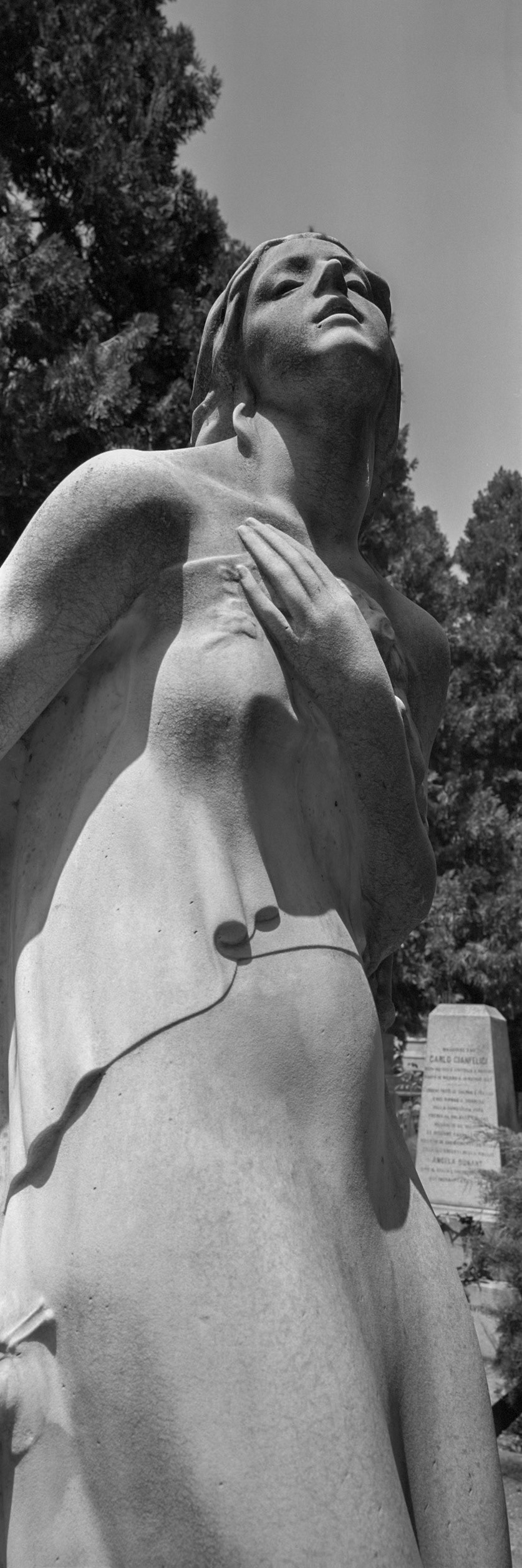 PhotoExif - Camera: Fuji G617, Film: Panchro 400, Comment: Close-up filter +1 fuoco oo