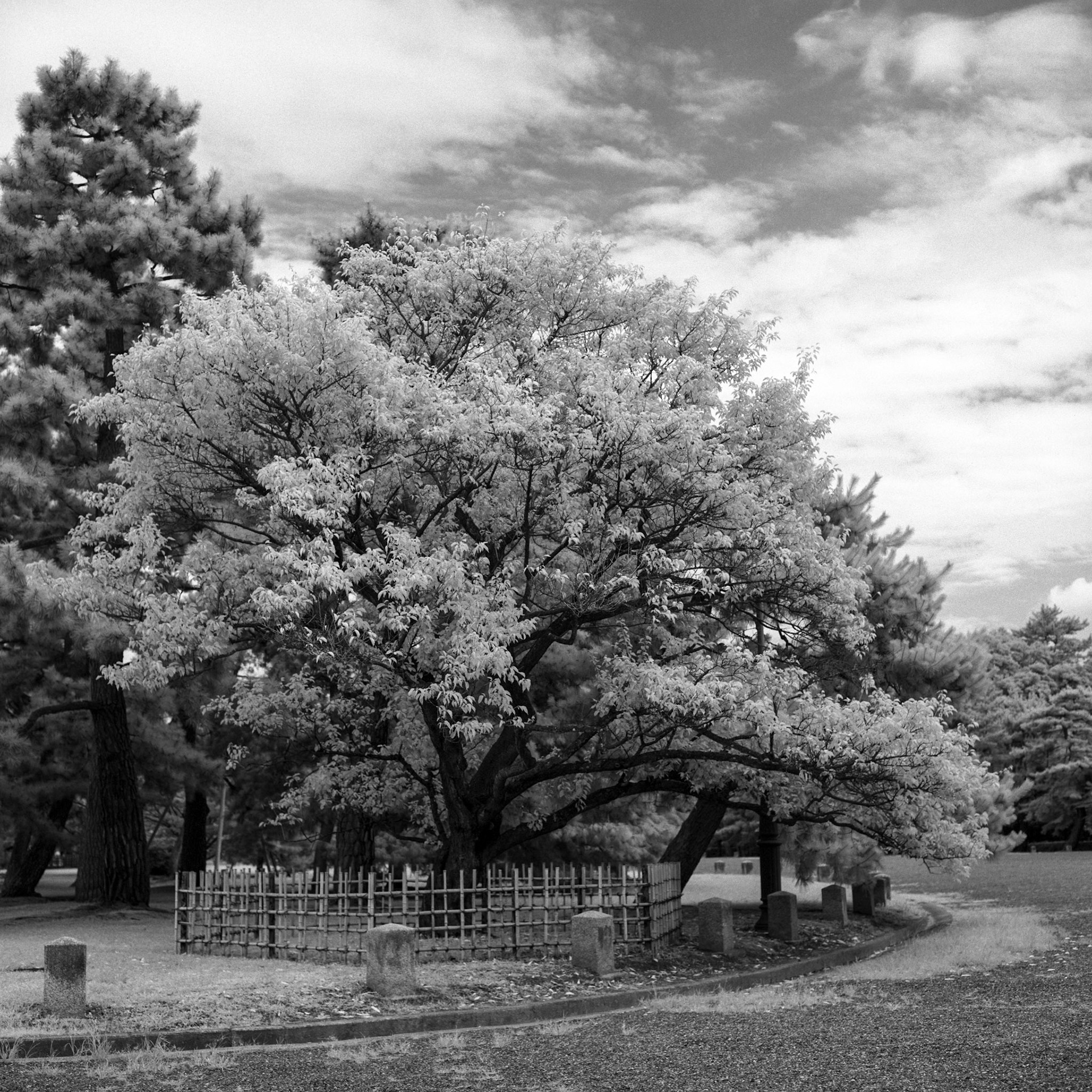 Kyoto, Kyoto Imperial Garden