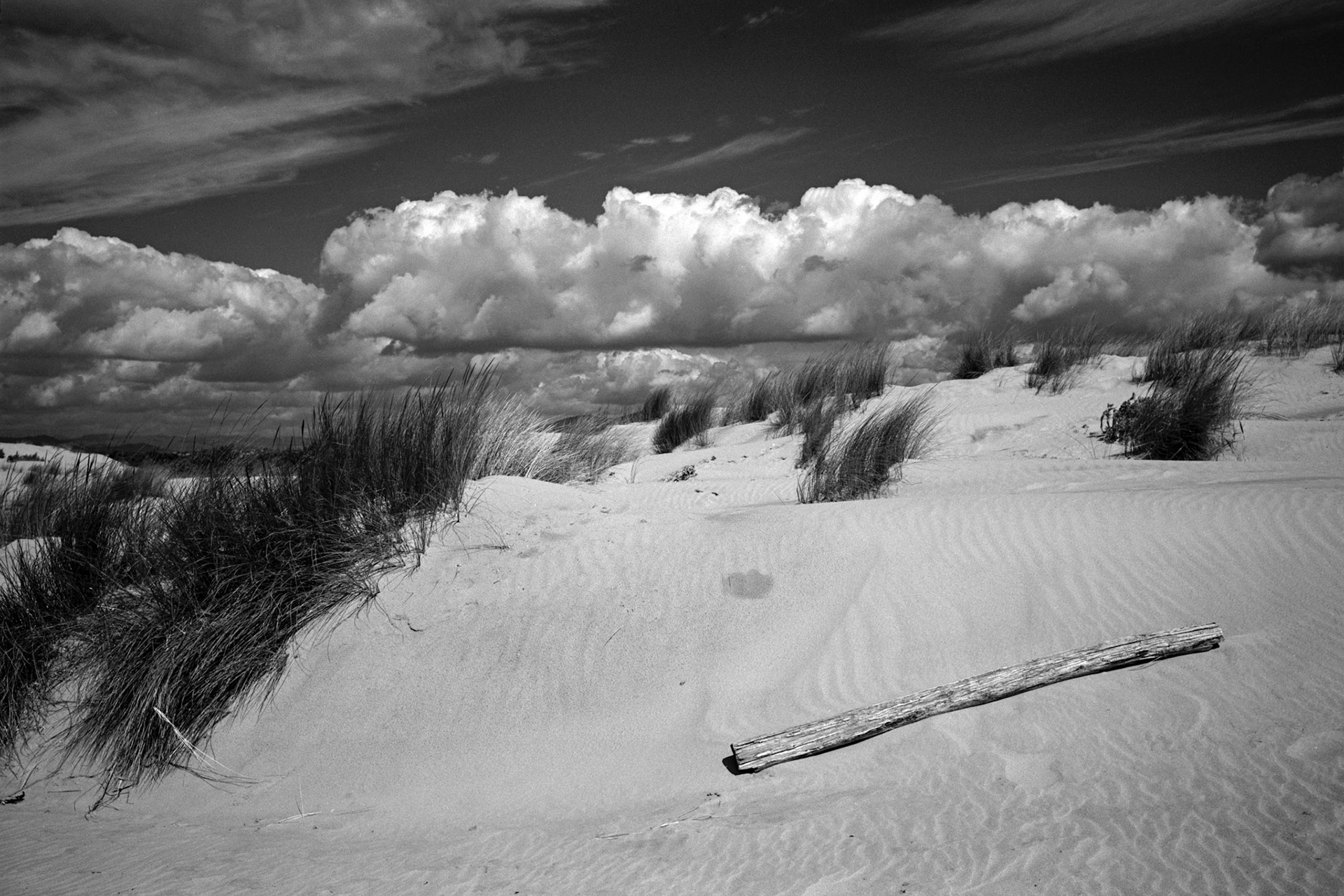 Sulcis, Dune di Porto Pino
