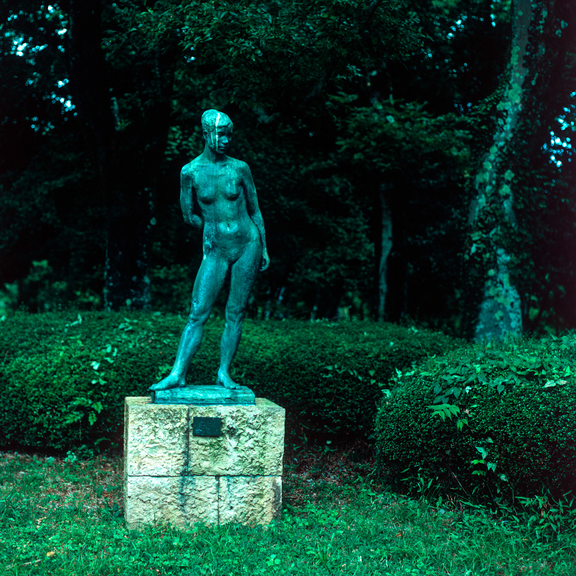 Rollei SL 66 SE, Velvia 100