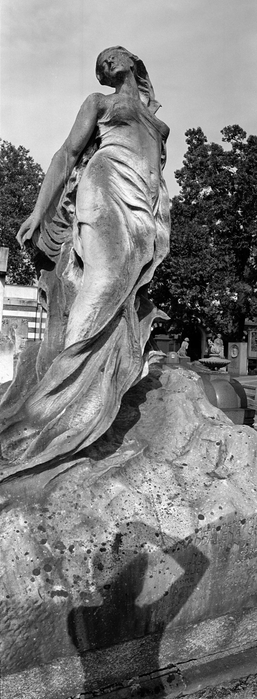 Noblex 135U, Silvermax 100, Silvermax Developer