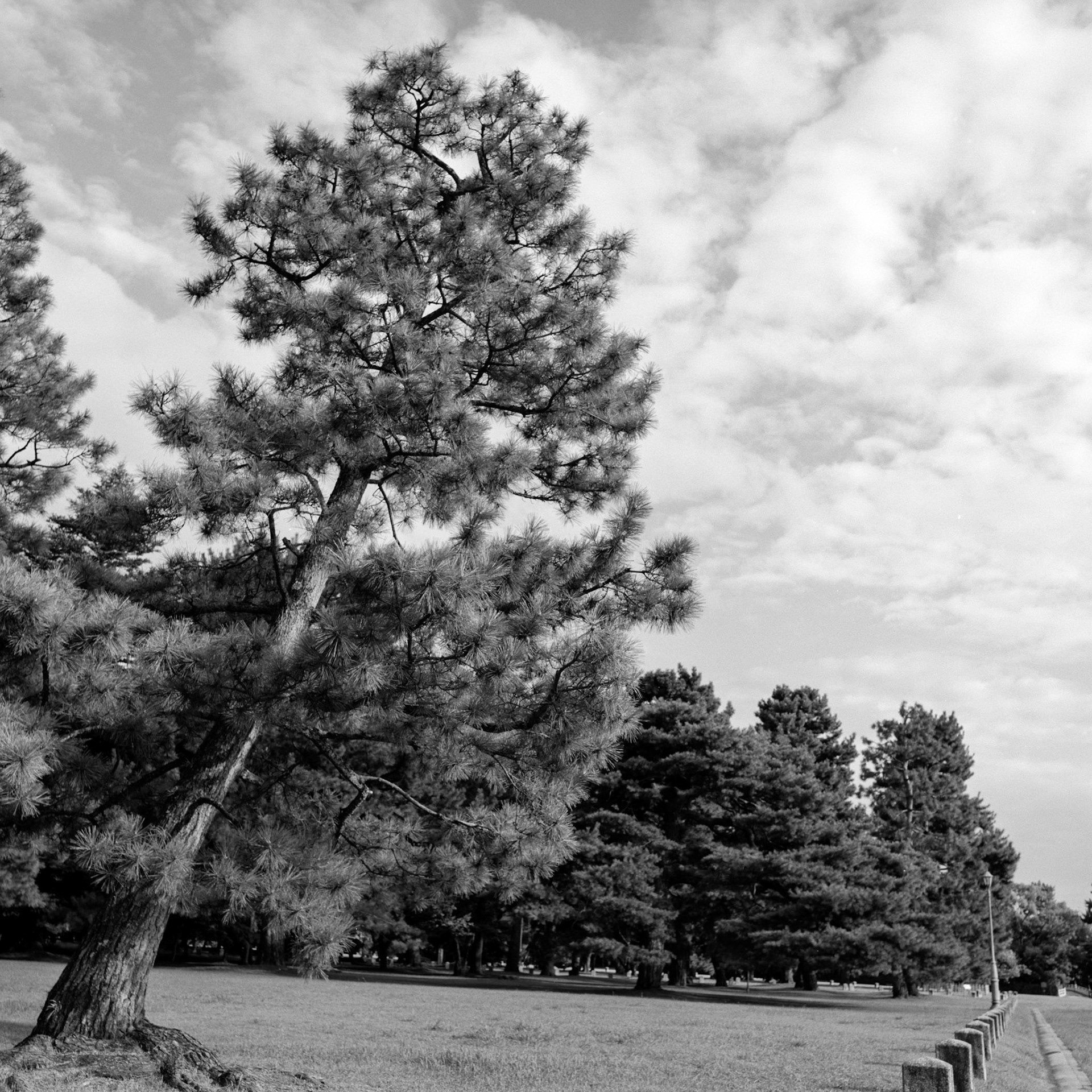 Kyoto, Kyoto Imperial Garden