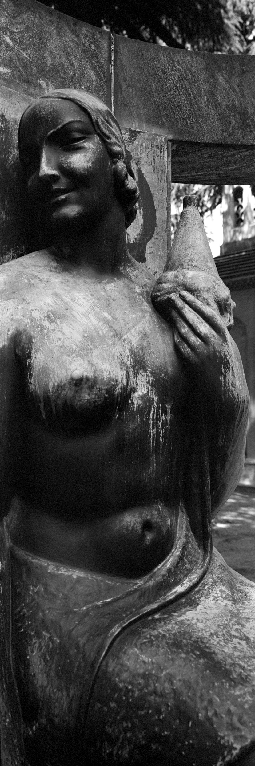 PhotoExif - Camera: Fuji G617, Film: Panchro 400, Comment: Close-up filter +1 fuoco oo 1 sotto