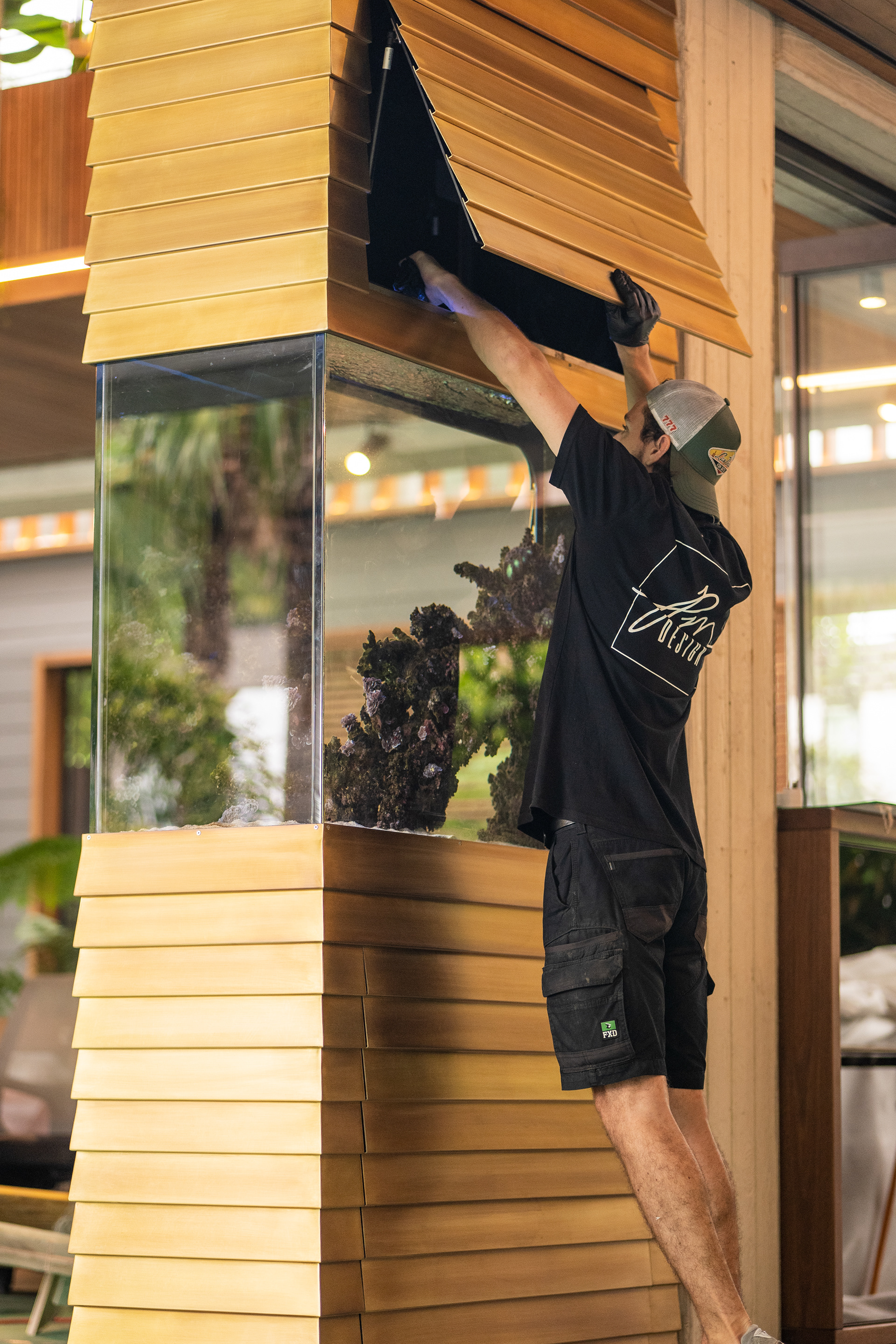 installation de l'aquarium
