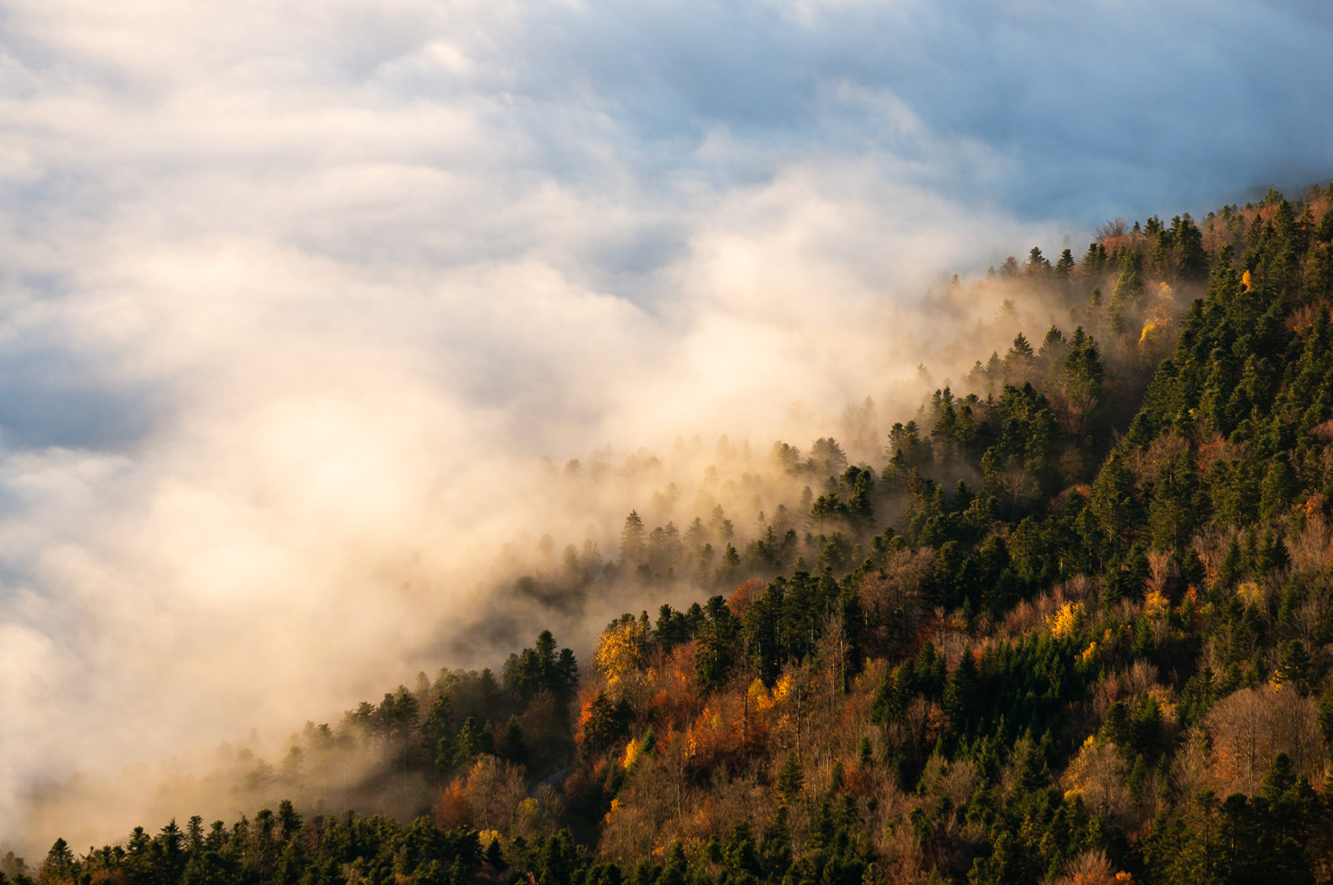 Mer de nuages - Jura