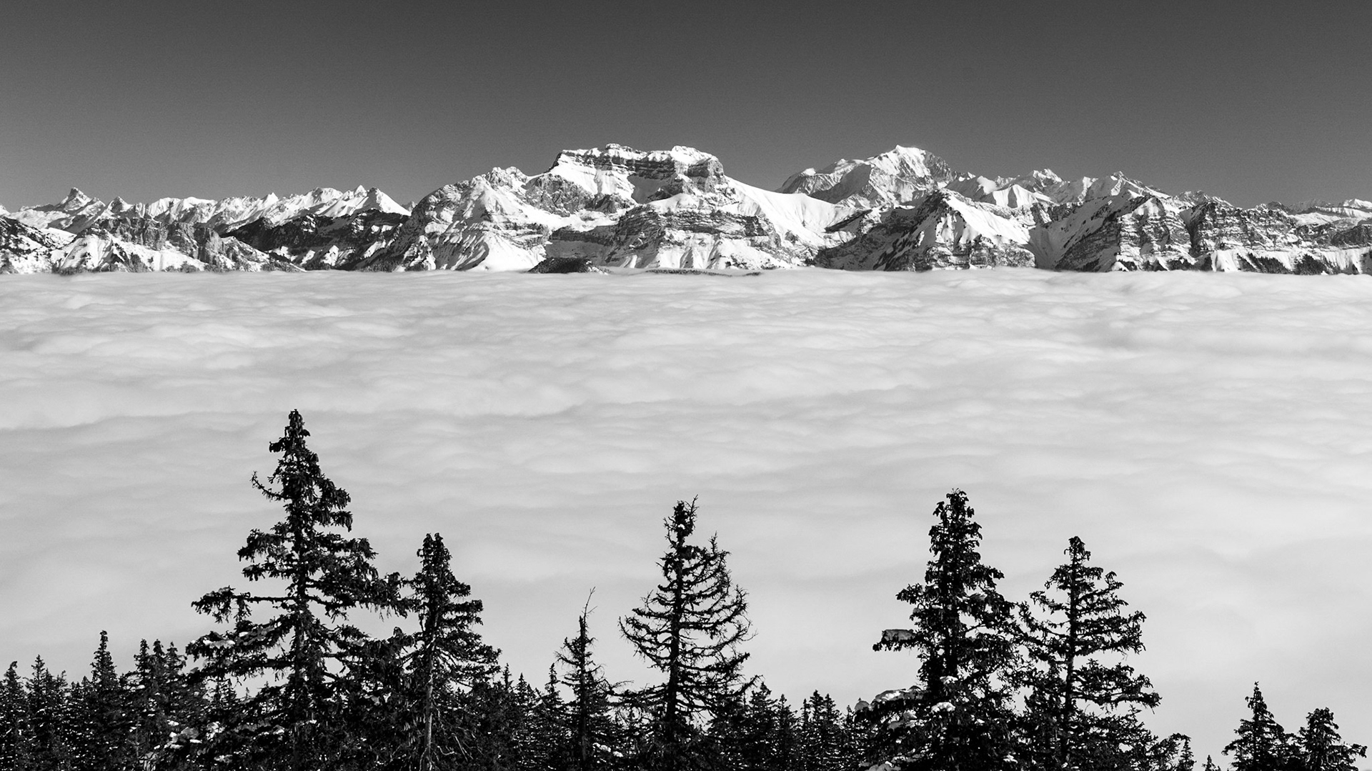 Tournette et Mont Blanc
